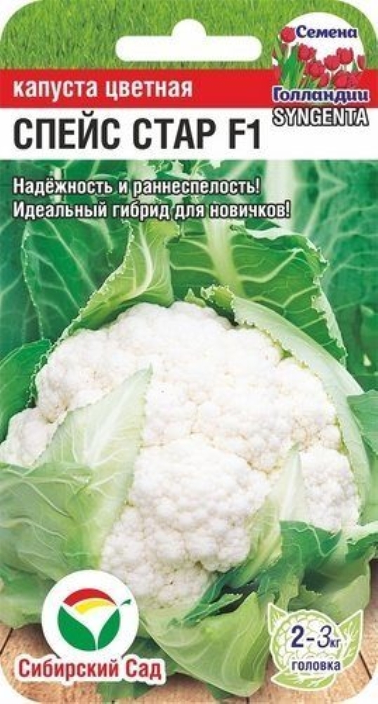 Семена Капусты Этма Купить