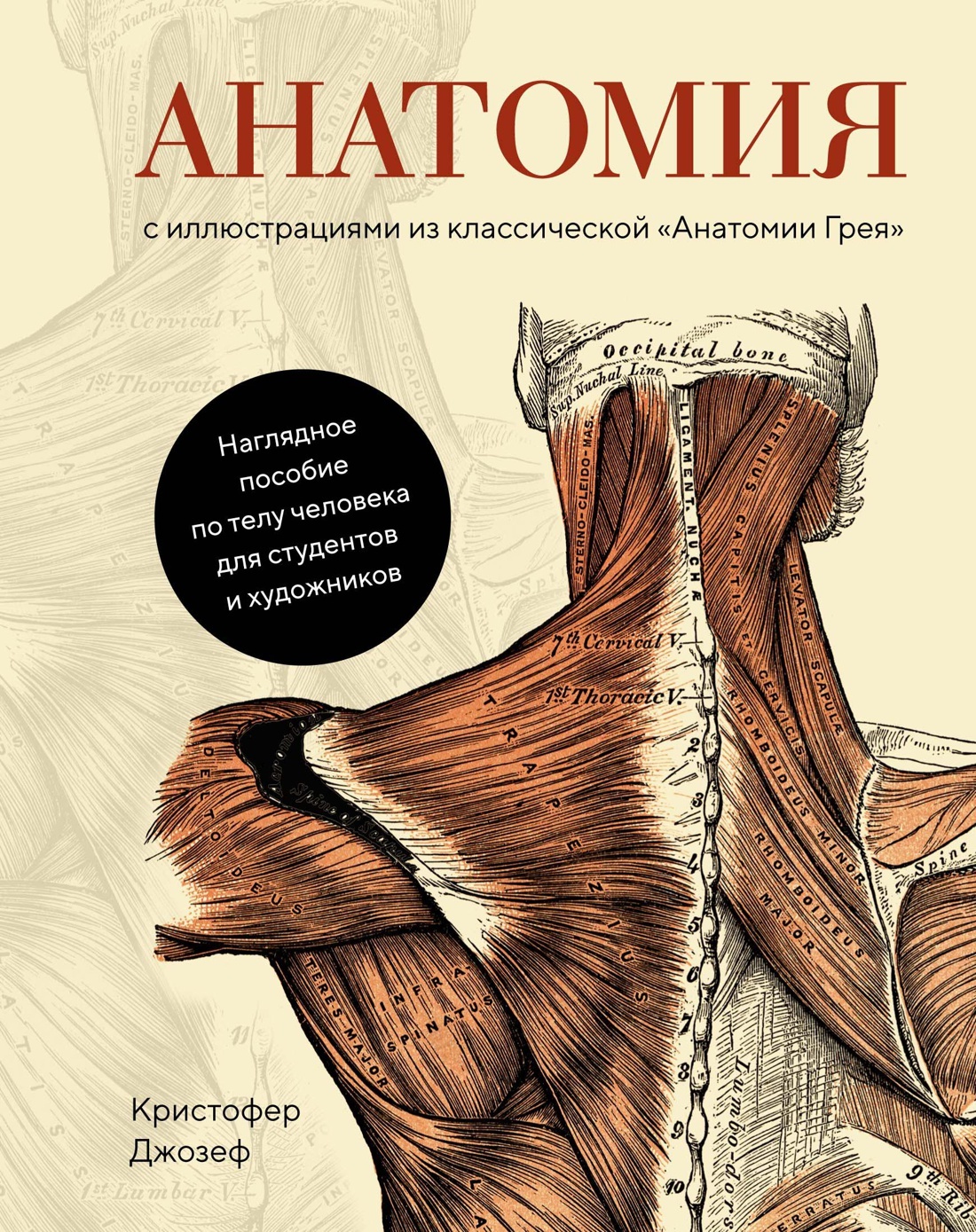 Анатомия|ДжозефКристофер
