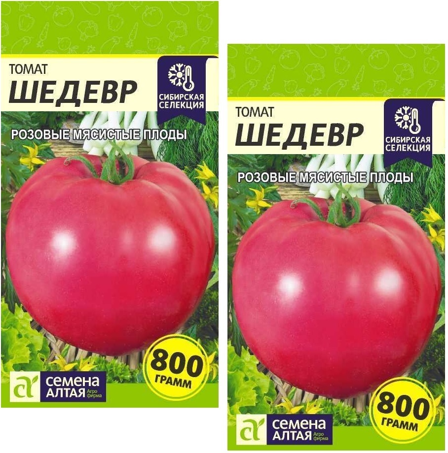 томат алтайский мясистый семена алтая. алтай томат отзывы. семена алтая томат сибирский крепыш. томат запуняка семена алтая. томат алтайский красный семена алтая.