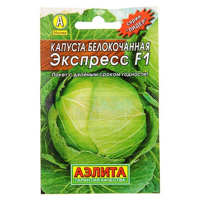 Капуста Алина: особенности сорта и рекомендации по выращиванию
