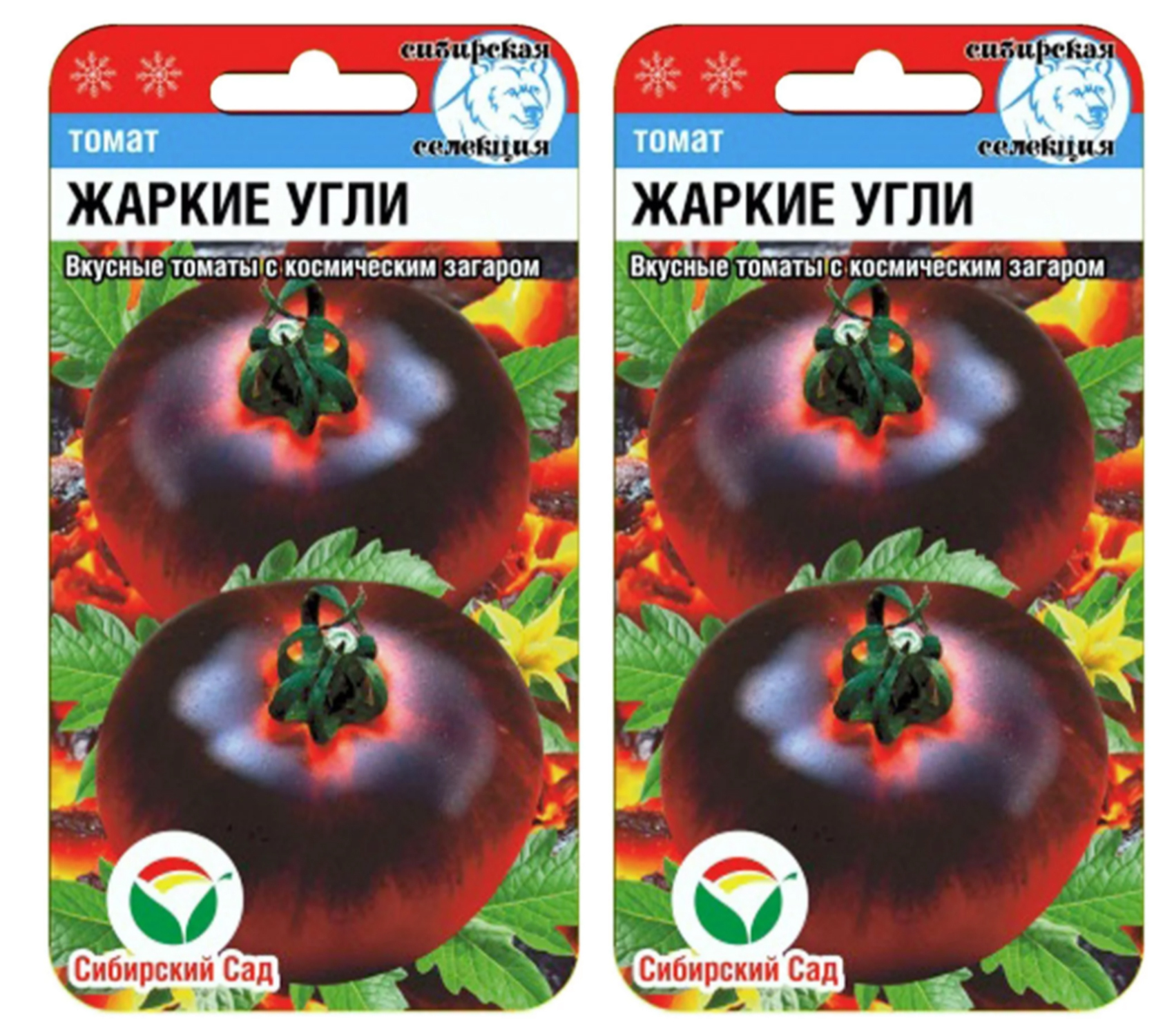 Томат уголек урожайность. Томат жаркие угли Сибирский сад. Томат Уголек. Томат жаркие угли (Сиб.сад). Жаркие угли томат описание сорта.