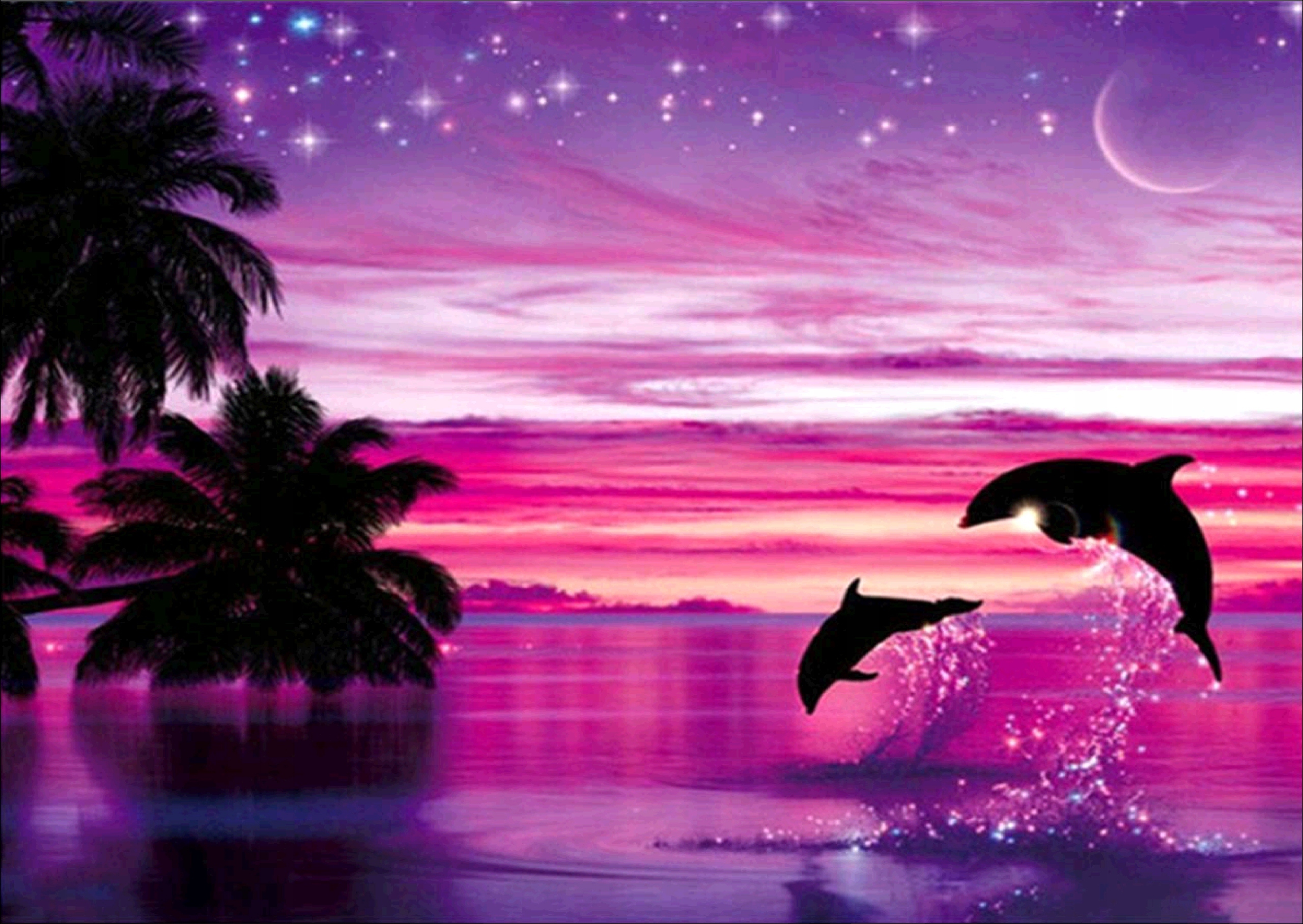фото море закат дельфины