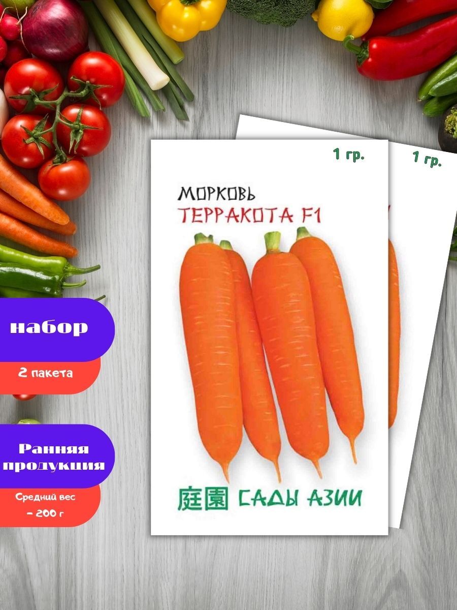 Где Можно Купить Сорт Моркови Терракота