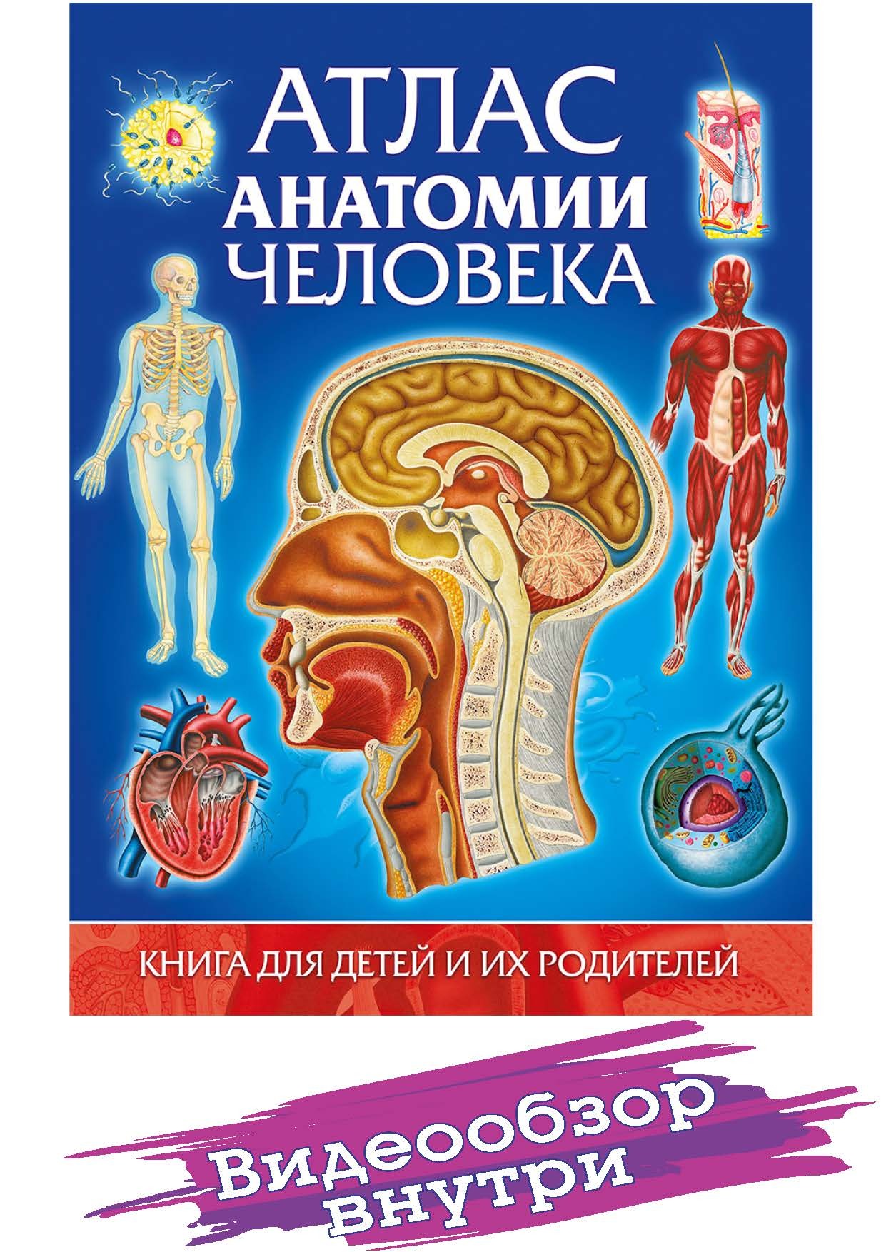 Атлас анатомии человека. Книга для детей и их родителей. Детские книги ...