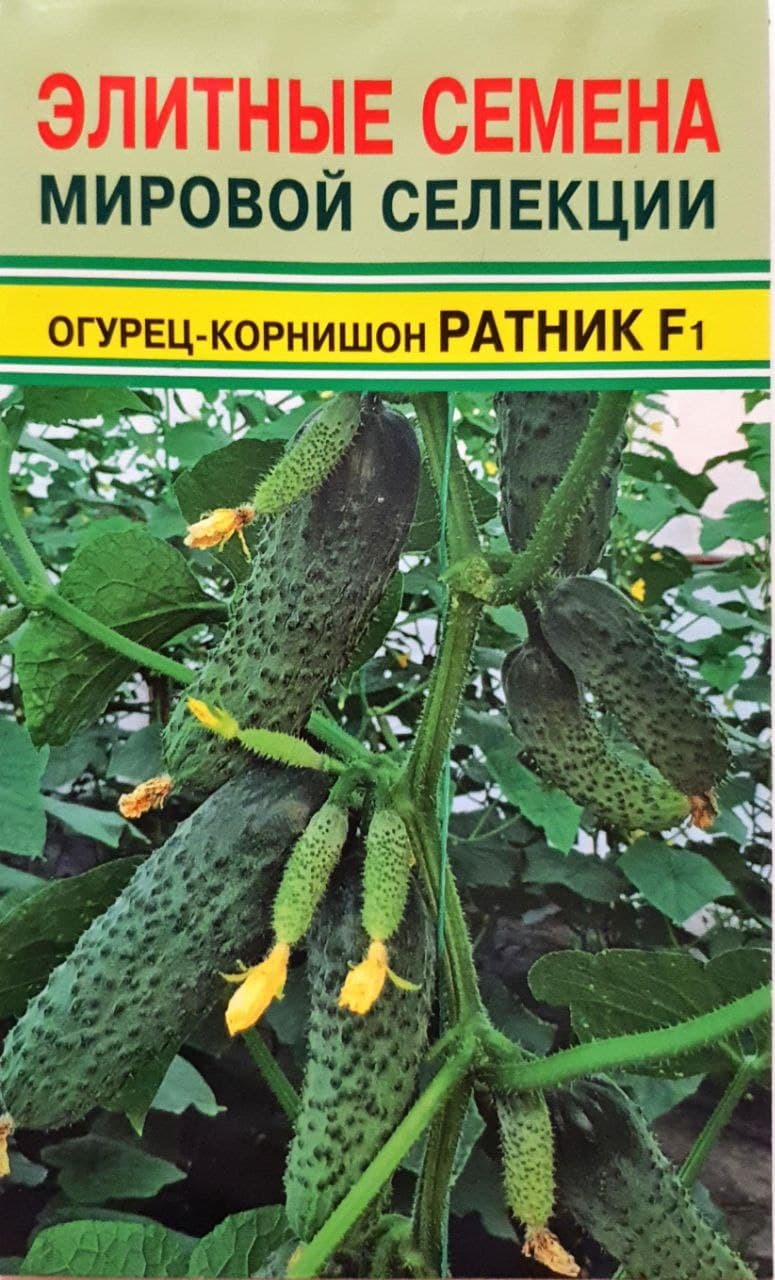 Огурец ратник 7шт чк. Огурец страж f1. Огурец ратник отзывы. Огурец ратник. Огурец ратник f1 7 шт редкие растения.