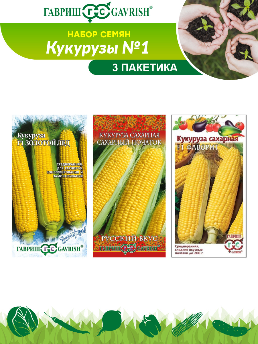 Семена Ноа Кукурузы Купить