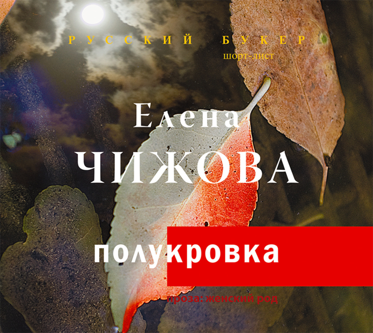 Полукровка аудиокнига слушать. Чижова полукровка. Елена Чижова книга полукровка. Чижова е.с. 