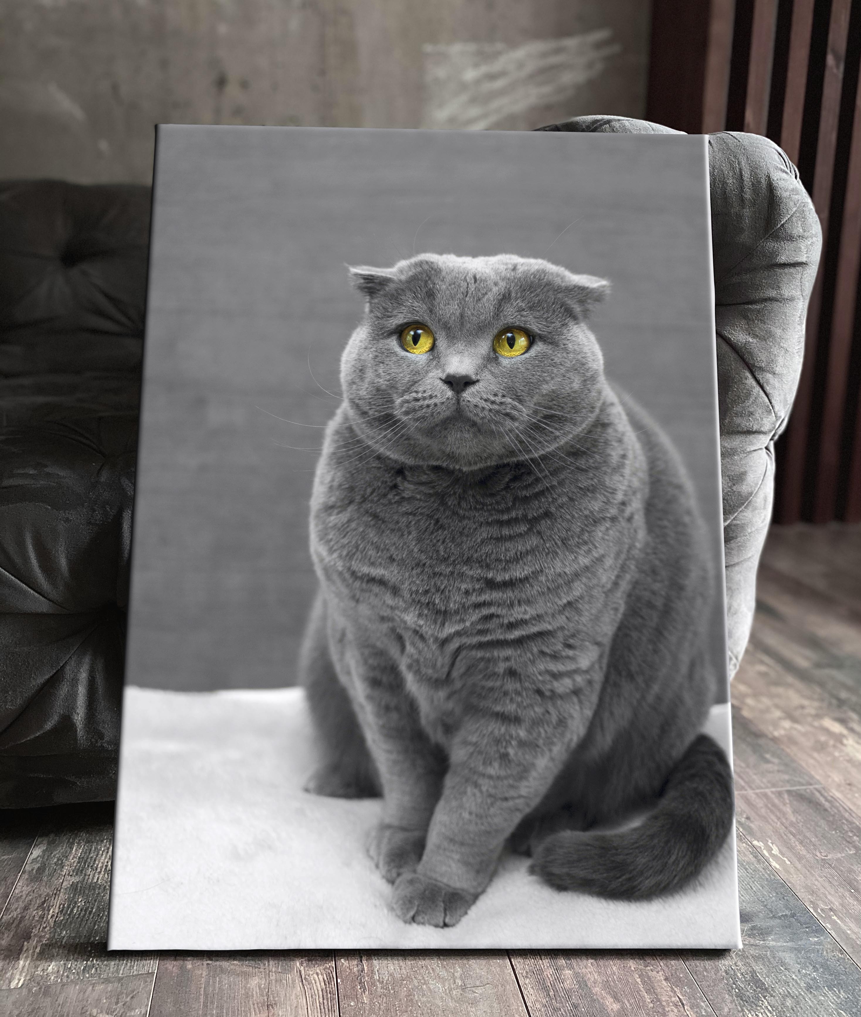 Картина на холсте (британская серый шотландская короткошёрстная кот вислоухая  кошка британец) 50 70 Вертикально, животные, кот, кошка, интерьерная, в  комнату, на стену, в спальню - купить по низкой цене в интернет-магазине  OZON (578932290)