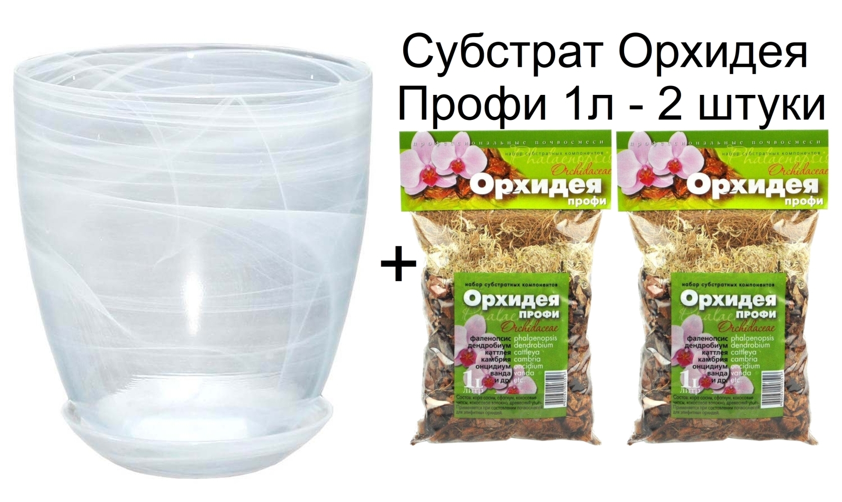 Закрепление растения в субстрате