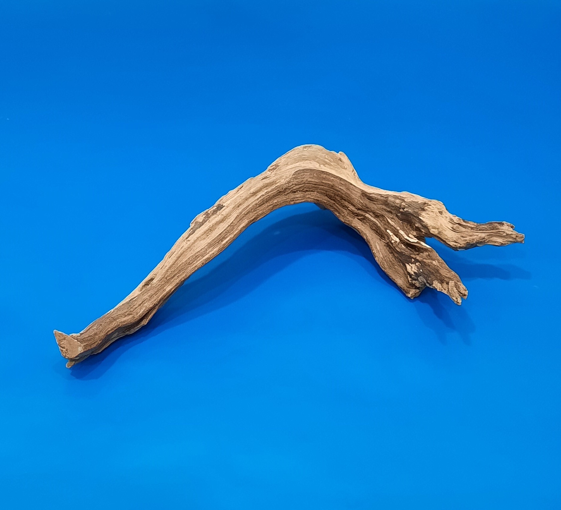 VLADOX коряга "корень Азалии" Azalea Wood 40-70 см. Коряга для аквариума натуральная.