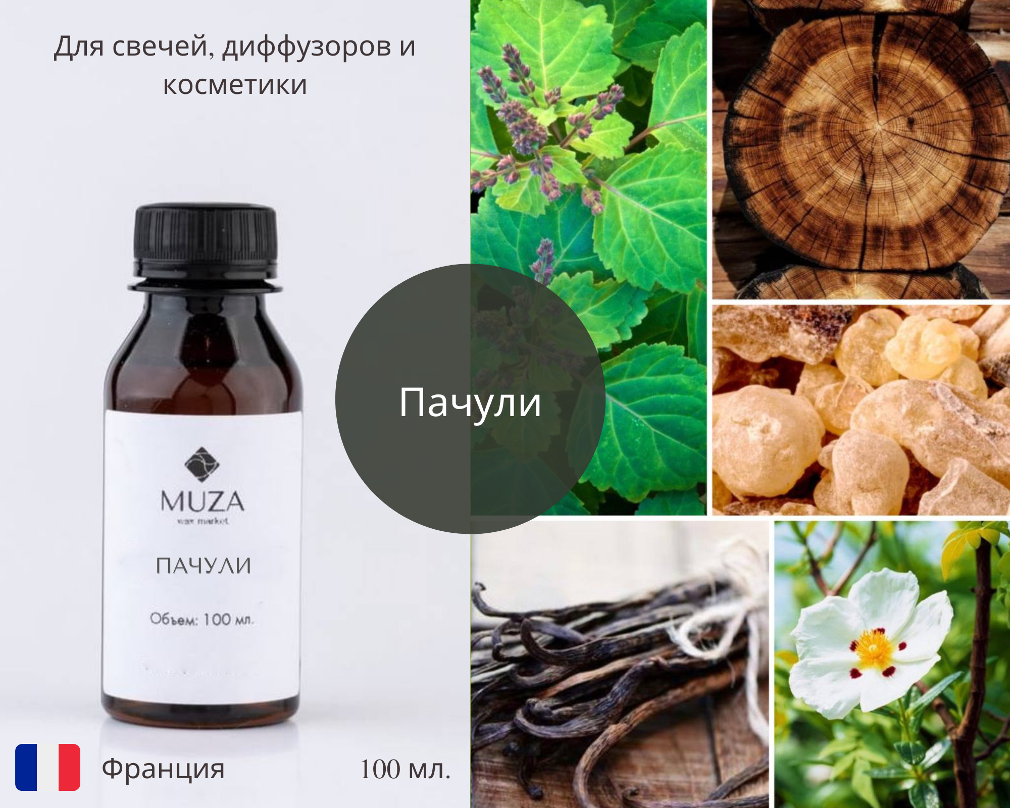 Яванская пачули. Пачули. Пачули это что за растение. Как пахнет пачули на что похож. Яванская пачули.