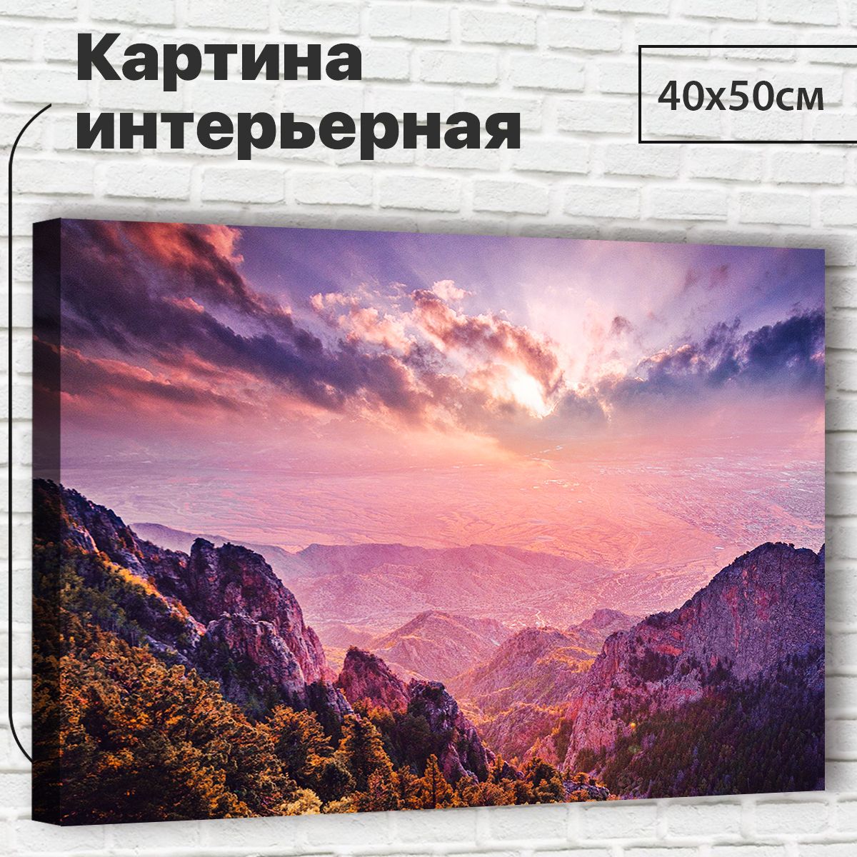 Картина для интерьера / Картина на стену 40х50см 