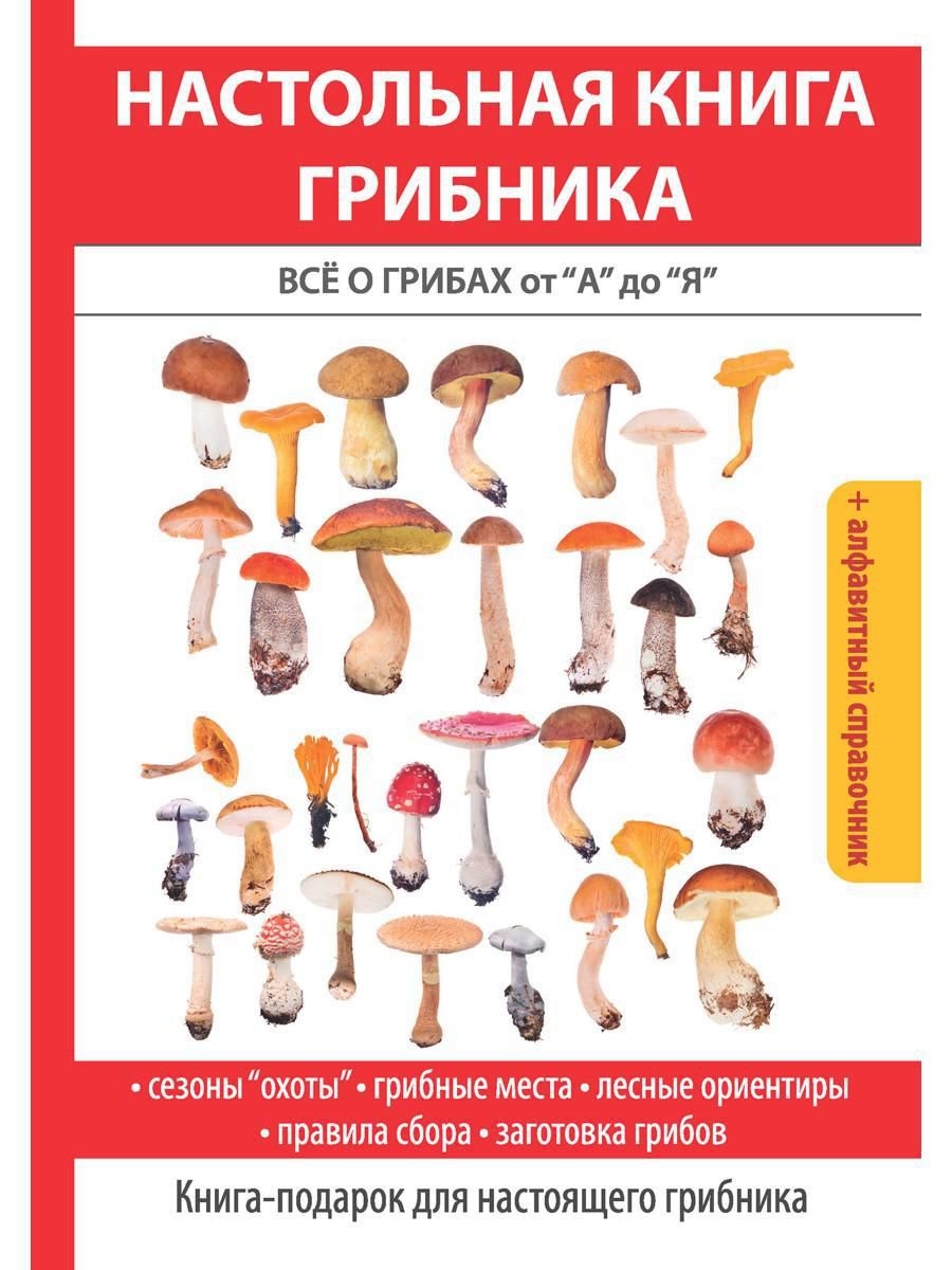 Где Купить Книги Про Грибы