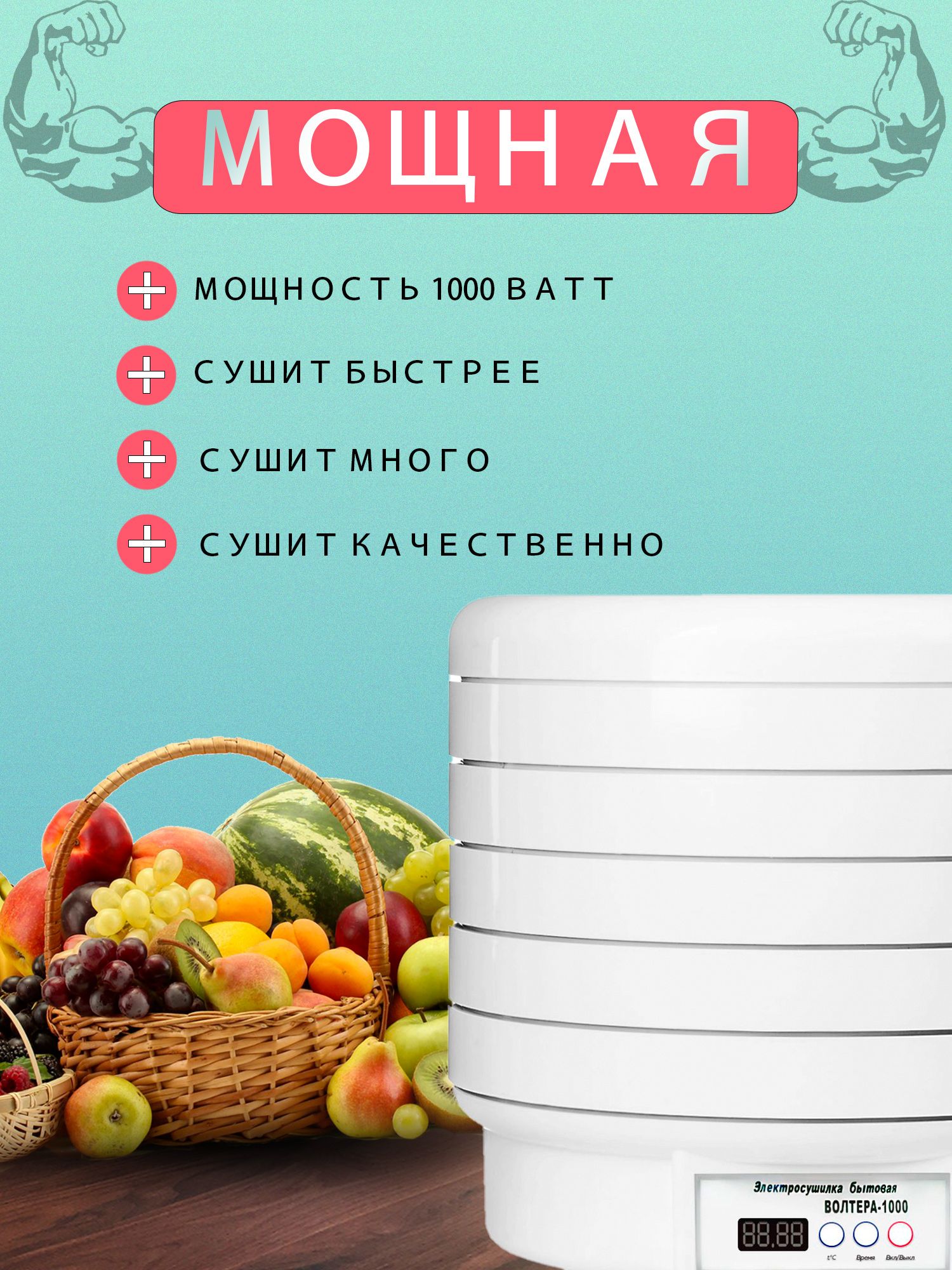 Сушилка для овощей вольтера. Сушилка Волтера 1000 Люкс. Сушилка Волтера 1000 Люкс с таймером. Волтера электросушилка 1000. Сушилка для овощей Вольтера 1000.