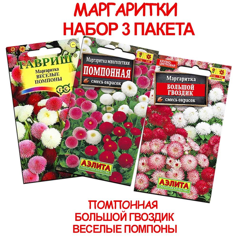 Маргаритка помпонная, смесь