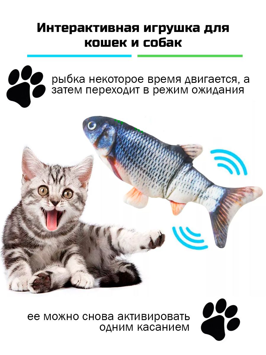 Топ-5 видеоканалов для кошек: белки, рыбки и другое!
