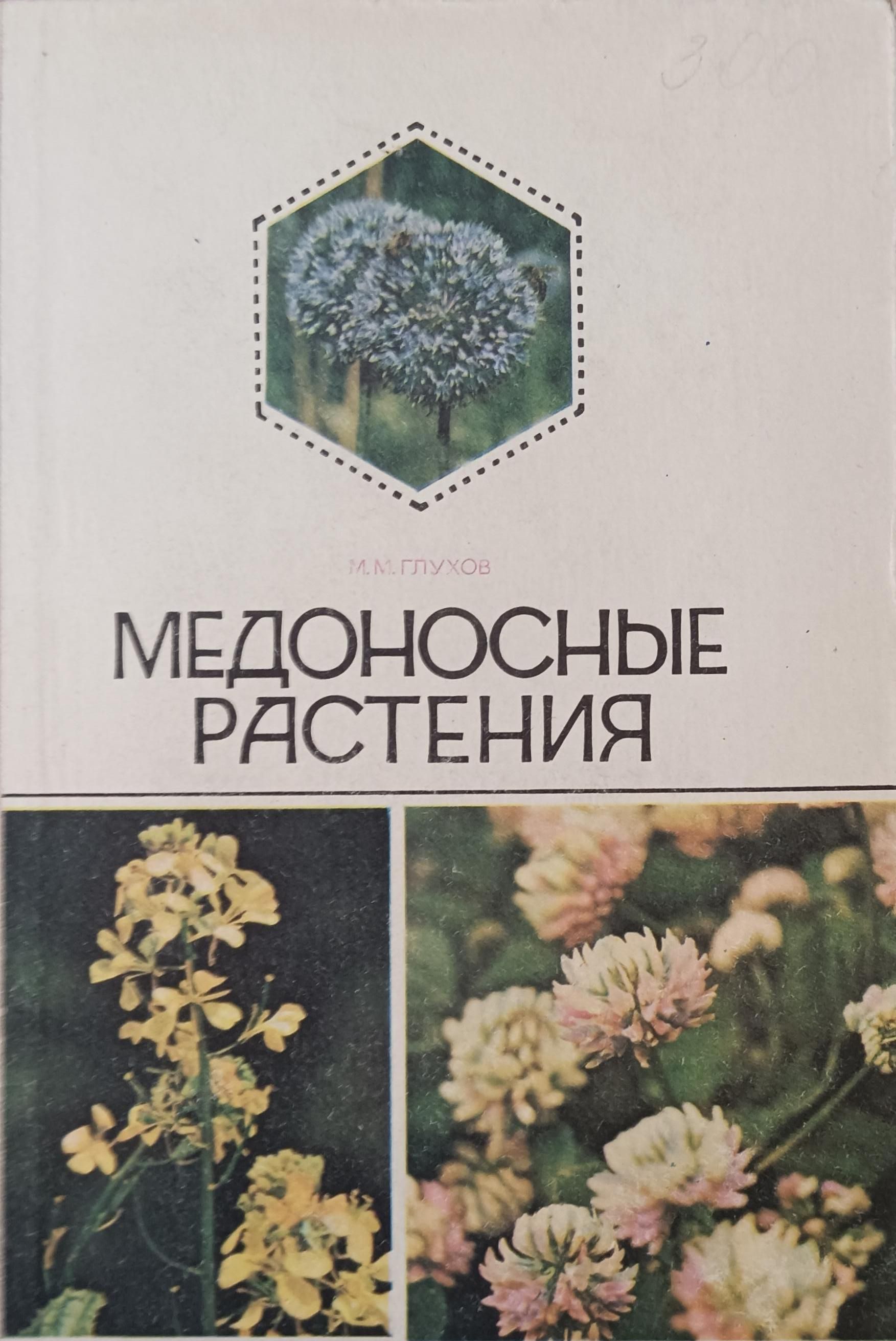 Где Можно Купить Медоносные Семена