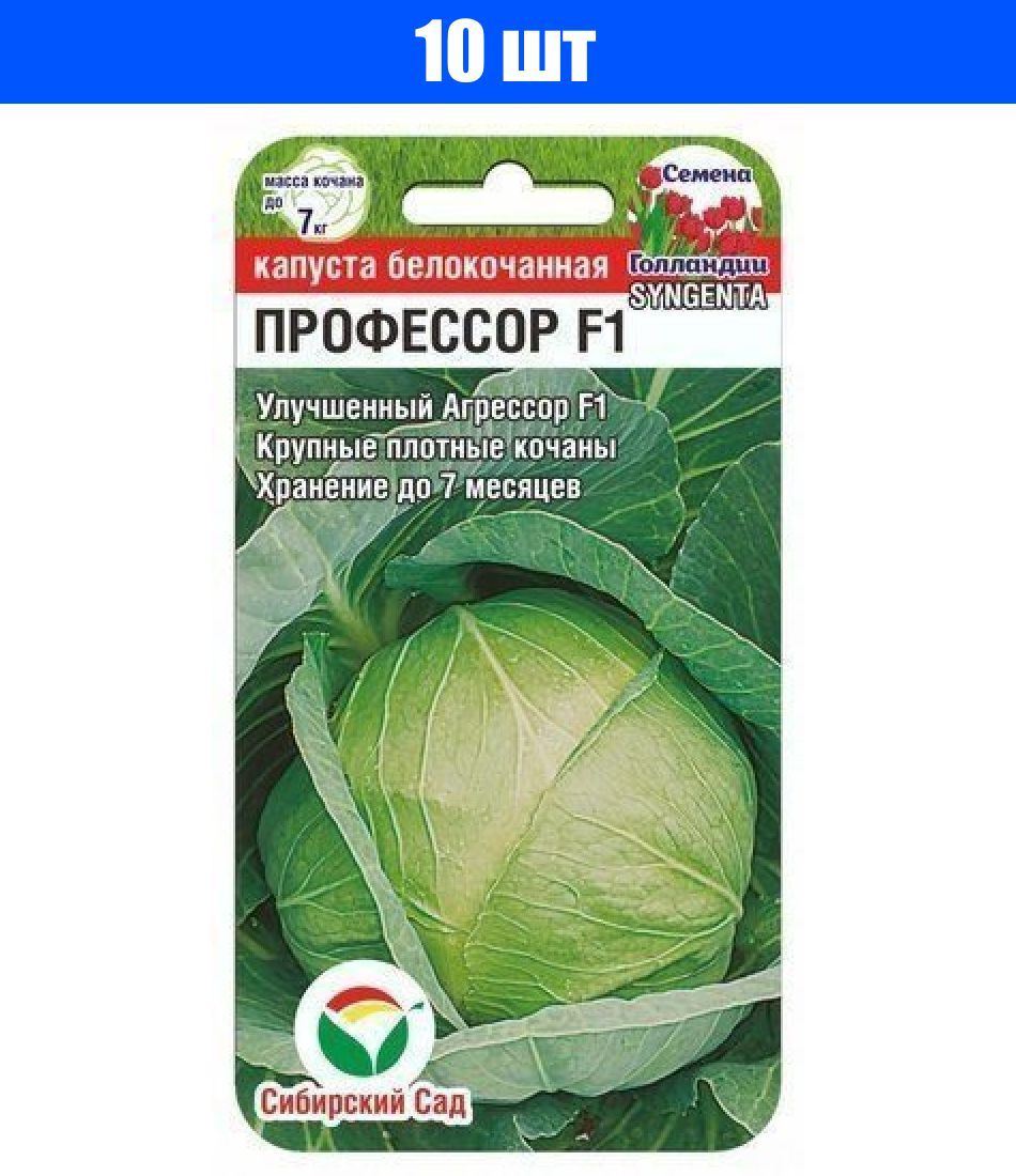 Капуста Краутман Купить Семена