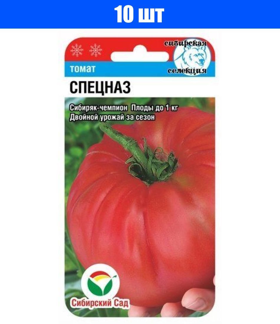сибирская селекция томатов фото