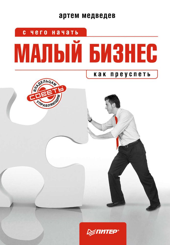 Книга бизнес план на 100 процентов
