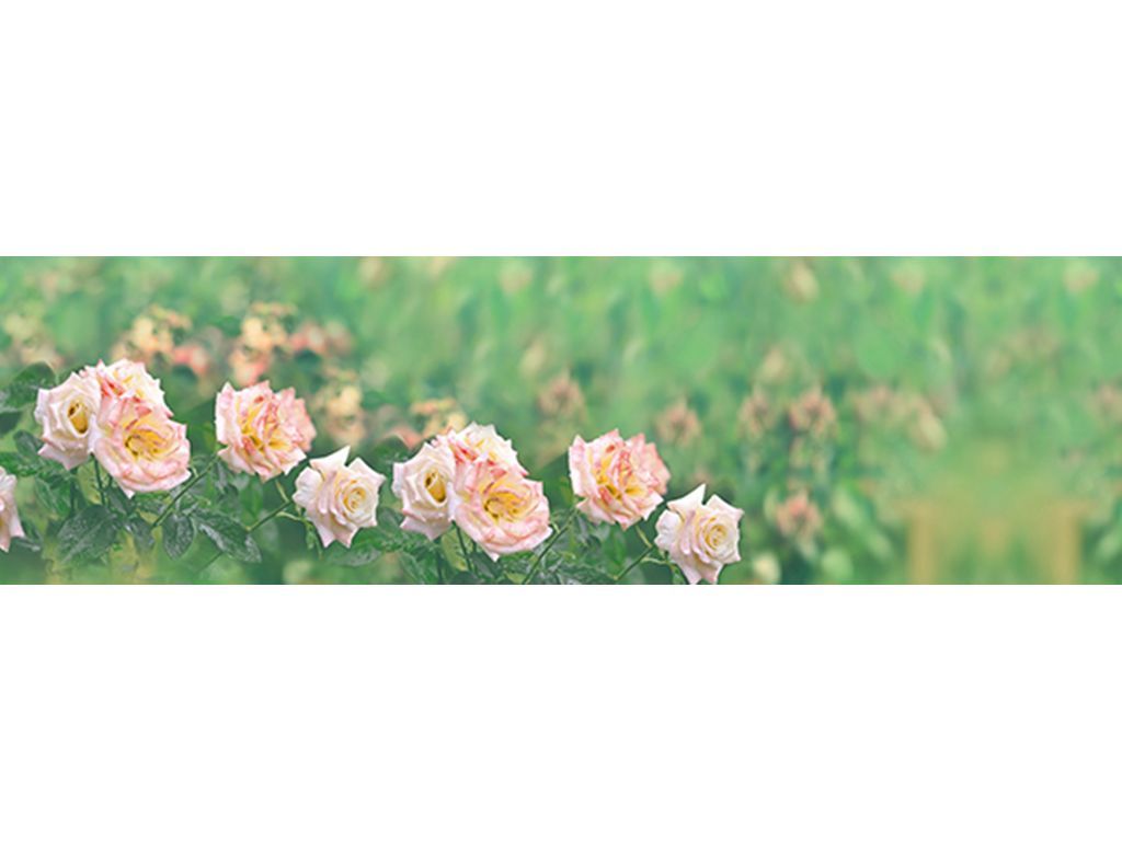 Купить Кухонный Фартук Фартукофф