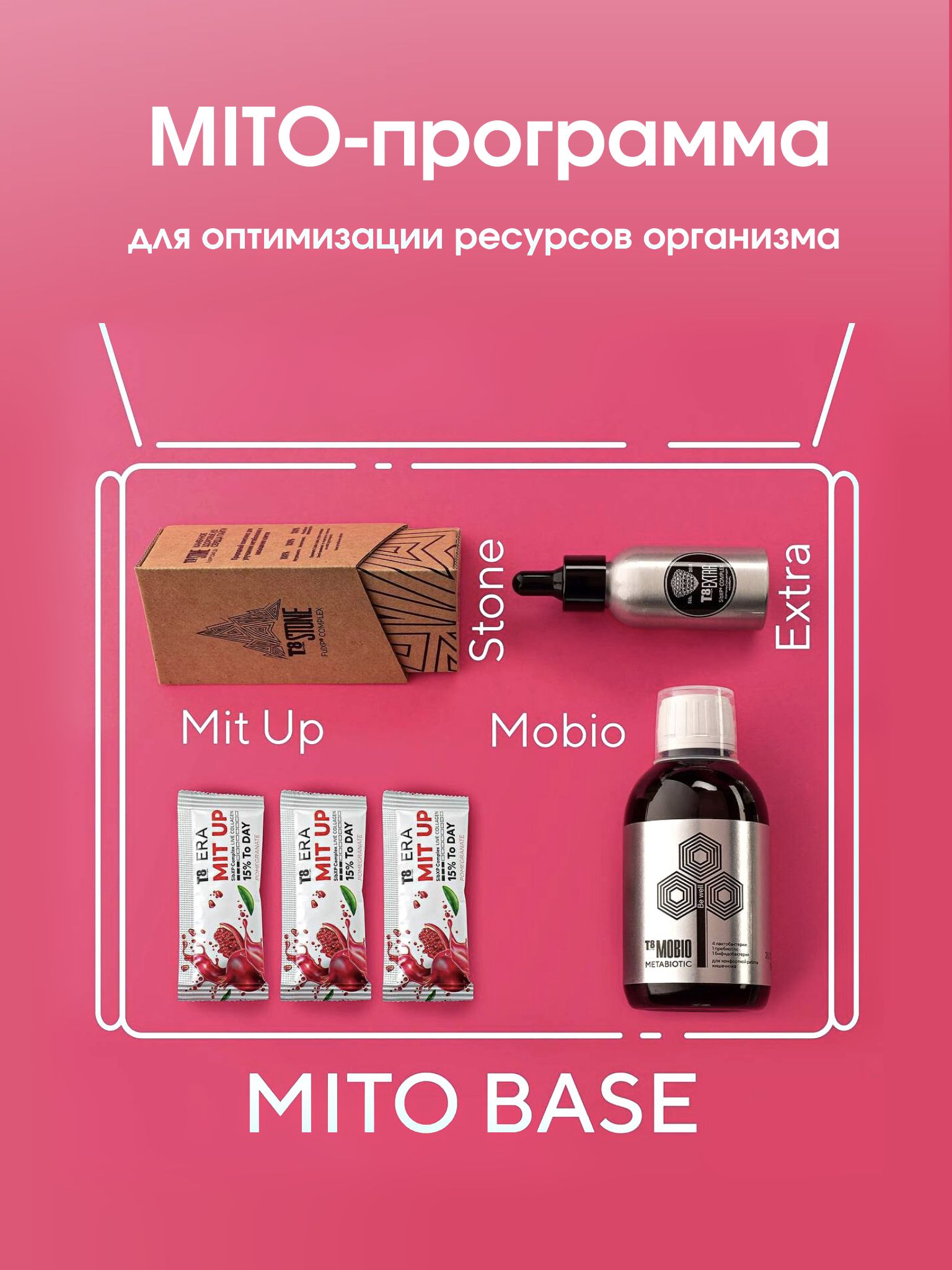 Комплексная MITO-программа для оптимизации ресурсов организма Mito Base:  набор Т8 Extra, T8 Stone, T8 Mit Up, T8 Mobio (Tayga 8 / Тайга8) - купить с  доставкой по выгодным ценам в интернет-магазине OZON (473505842)