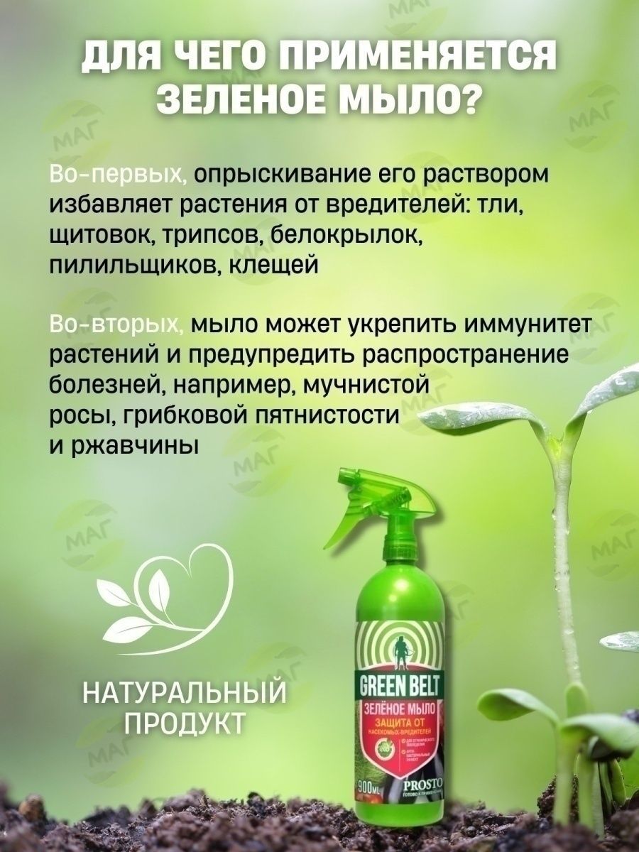 зеленое мыло для обработки теплицы осенью от вредителей и болезней