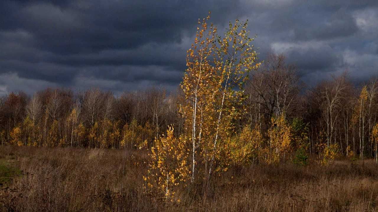 Фотографии Поздней Осени