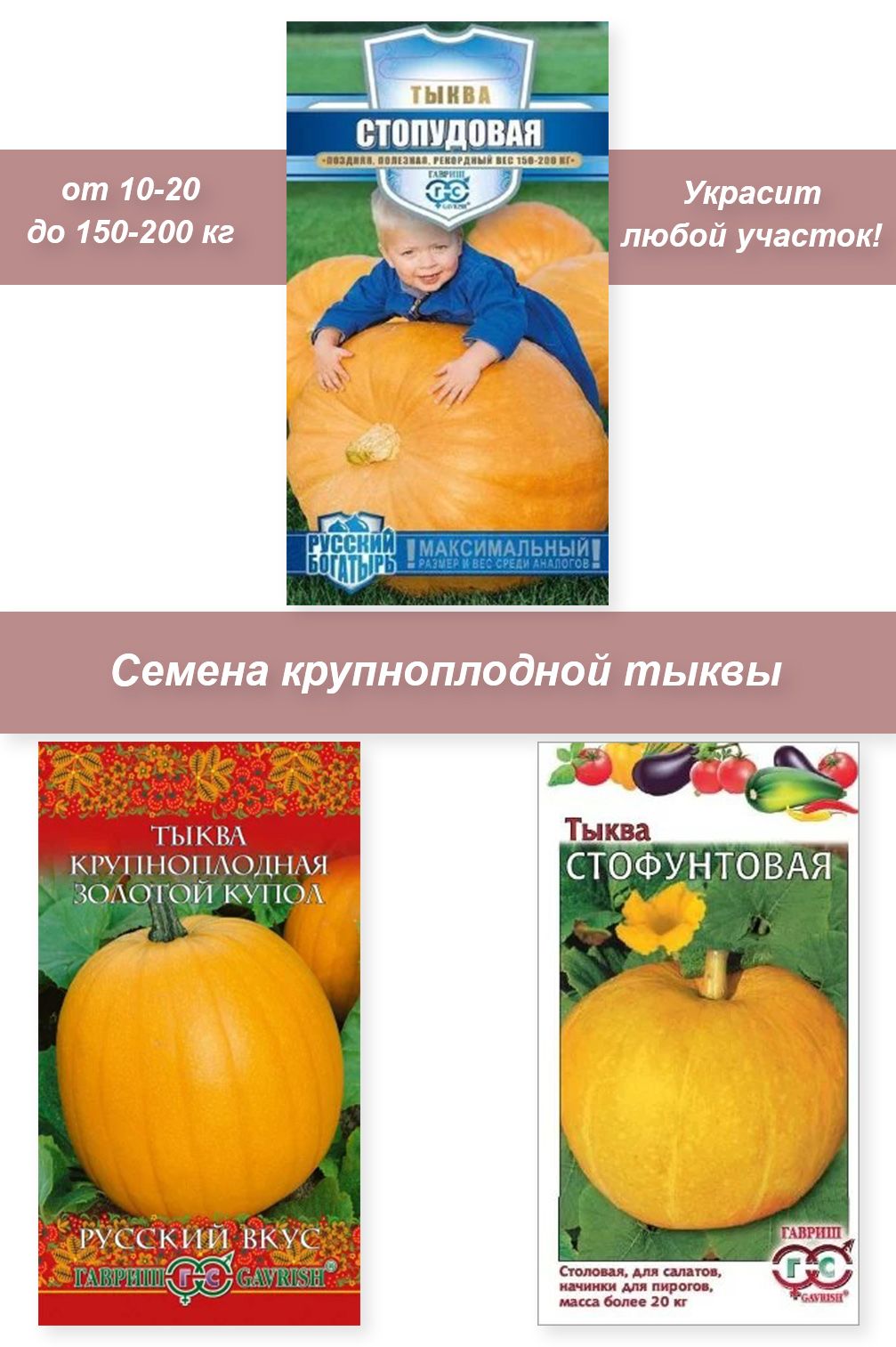 Тыквы Гавриш Овощи для дачи - купить по выгодным ценам в интернет-магазинеOZON (793276005)