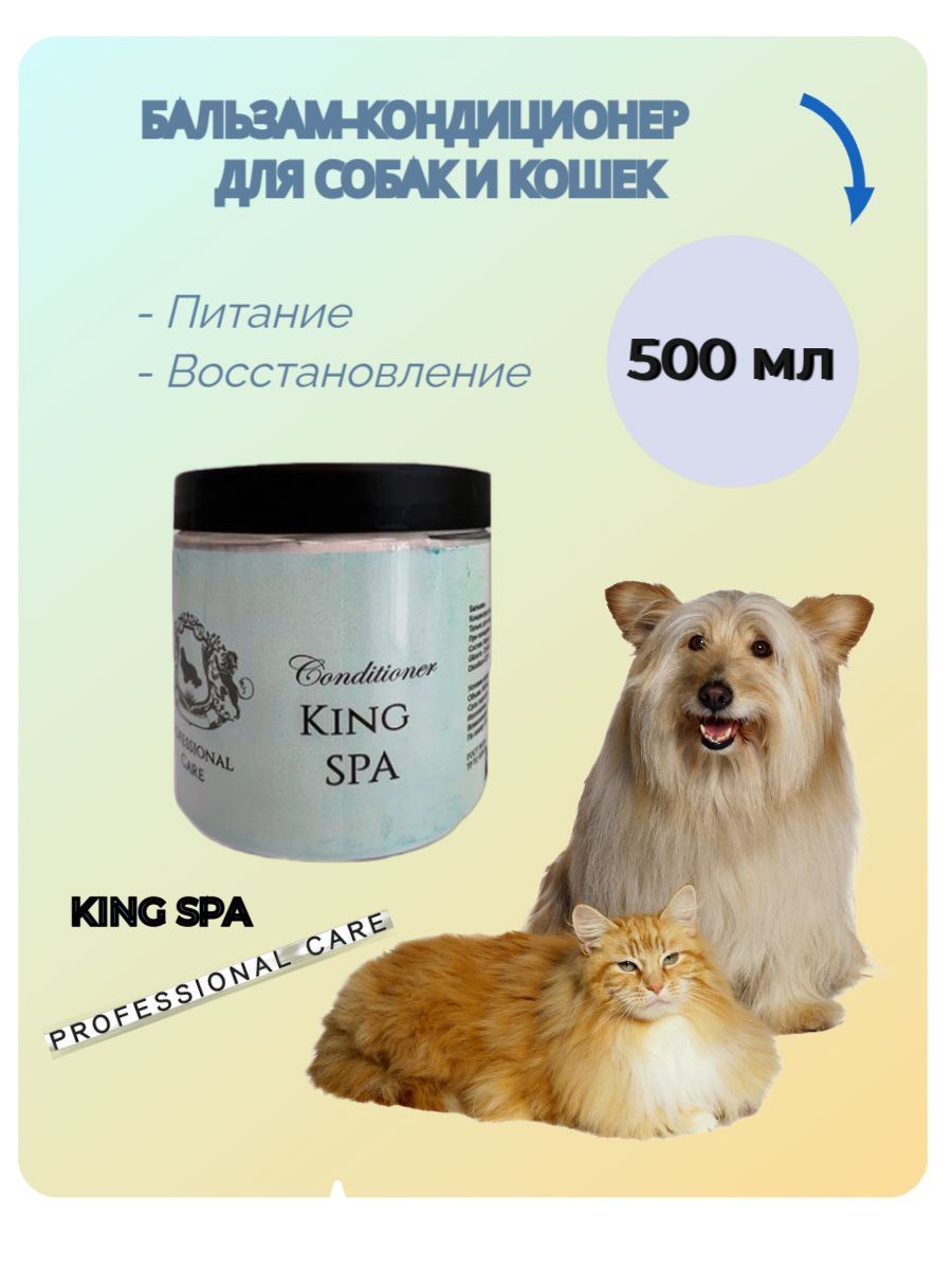 Kings Spa