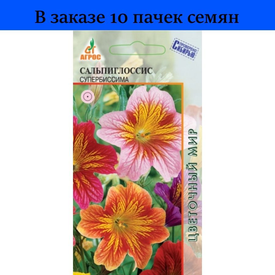 Сальпиглоссис Купить