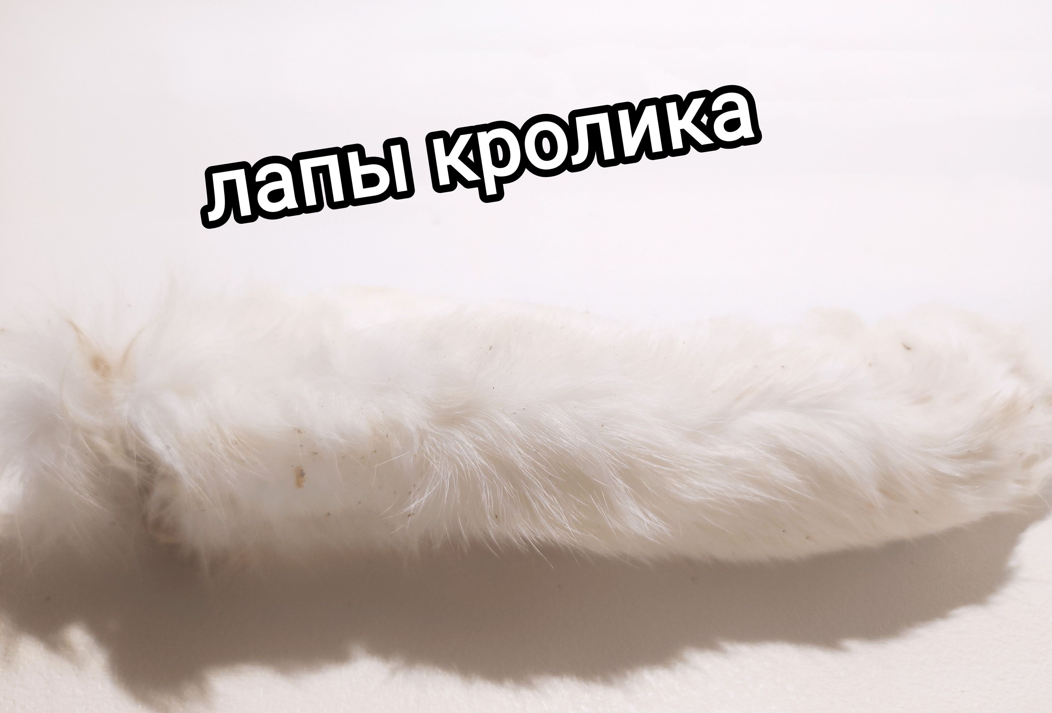 Как добыть кроличью лапку. Как добыть кроличью лапку