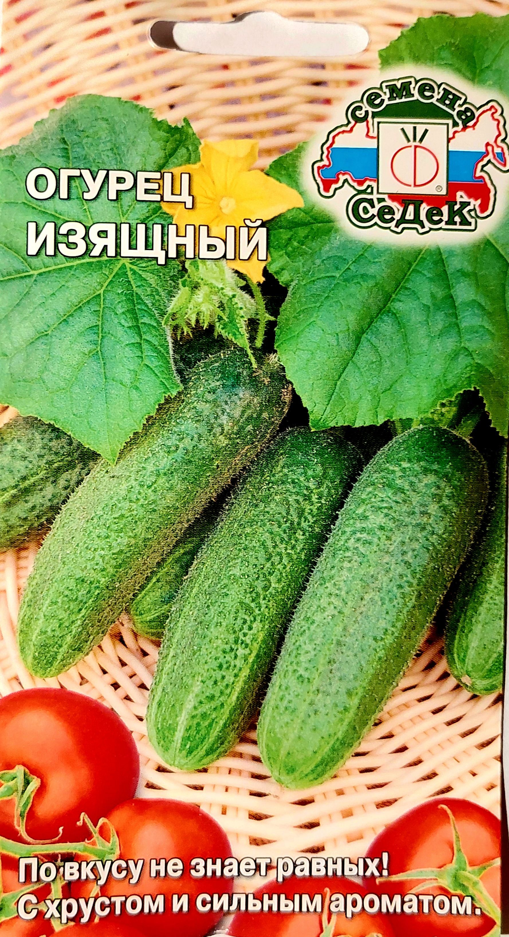 Семена Огурцов Изящный Купить