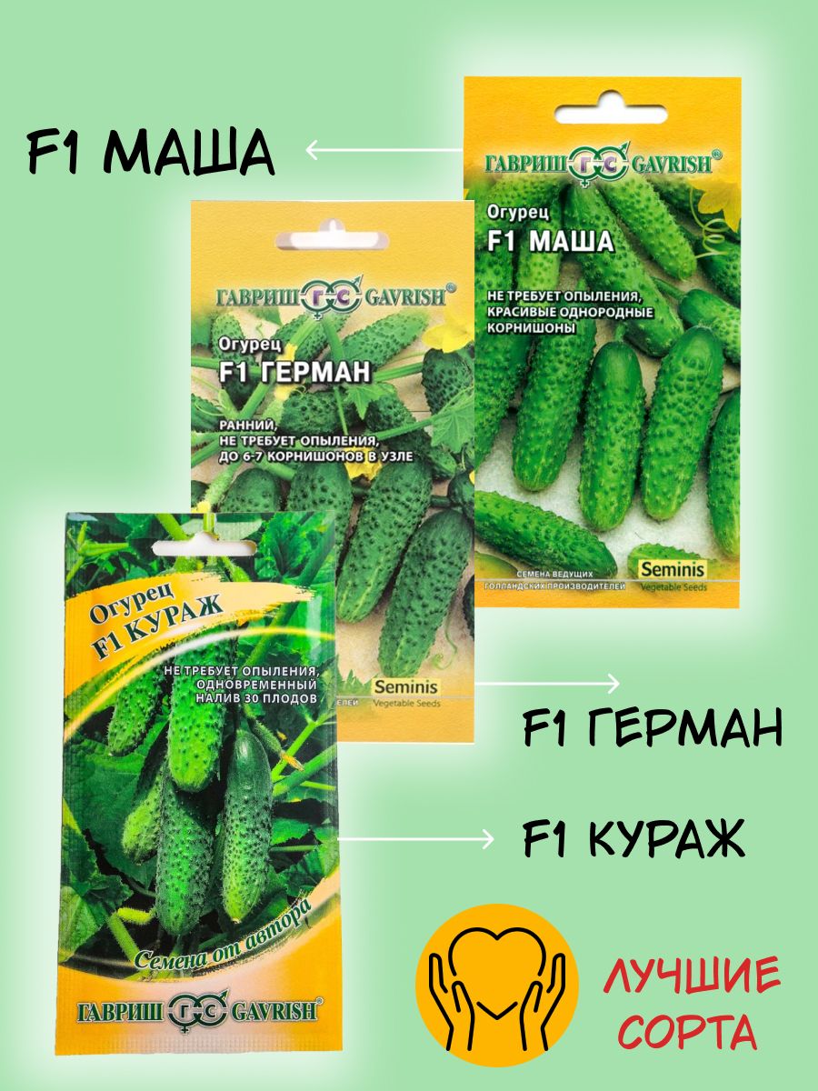 Купить Семена Огурца Кураж Оптом