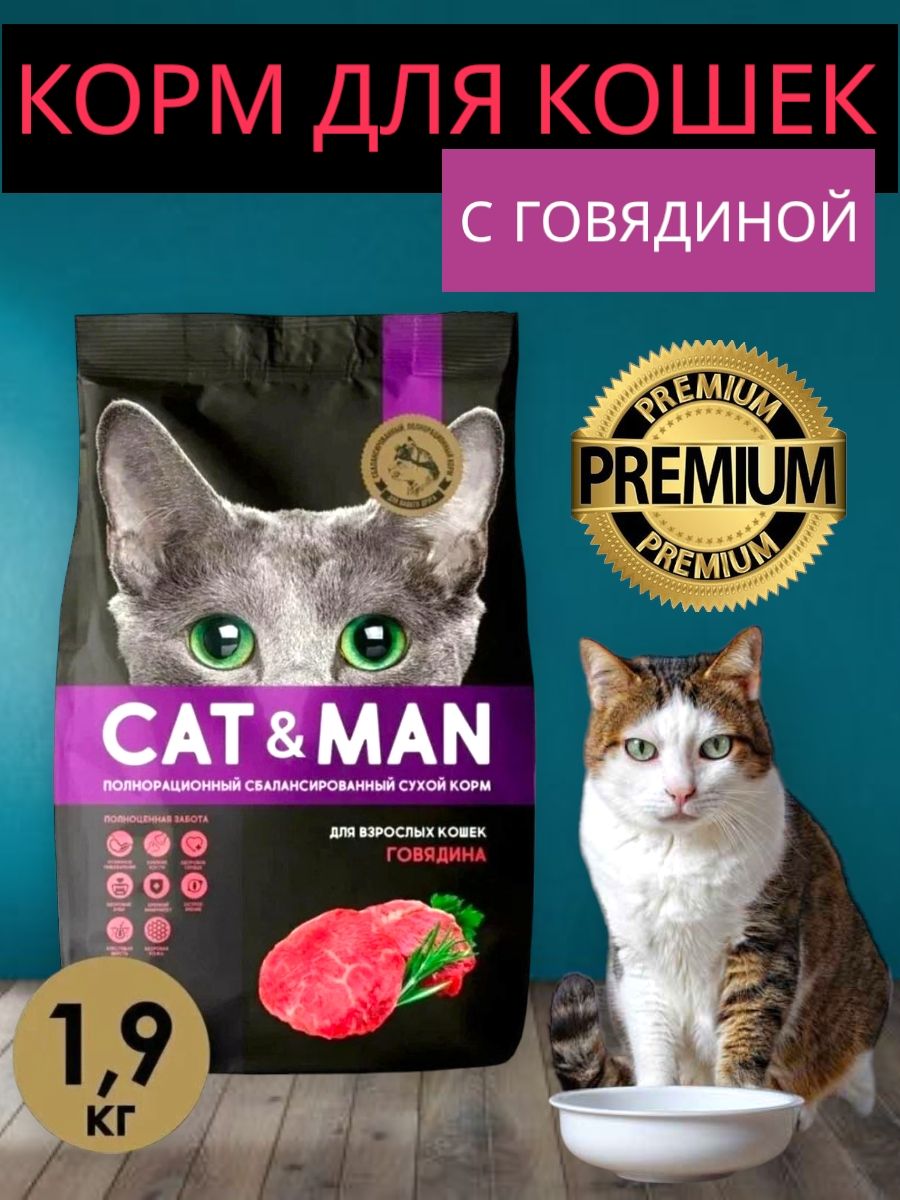 Корм кисса. Корм сухой для кошек Cat&man. Корм для кошек реклама. Корм Cat man к с говядиной 1.9 кг. Кисса корм для кошек.