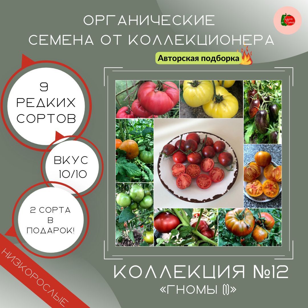 Коллекционные Сорта Томатов – купить в интернет-магазине OZON по ...