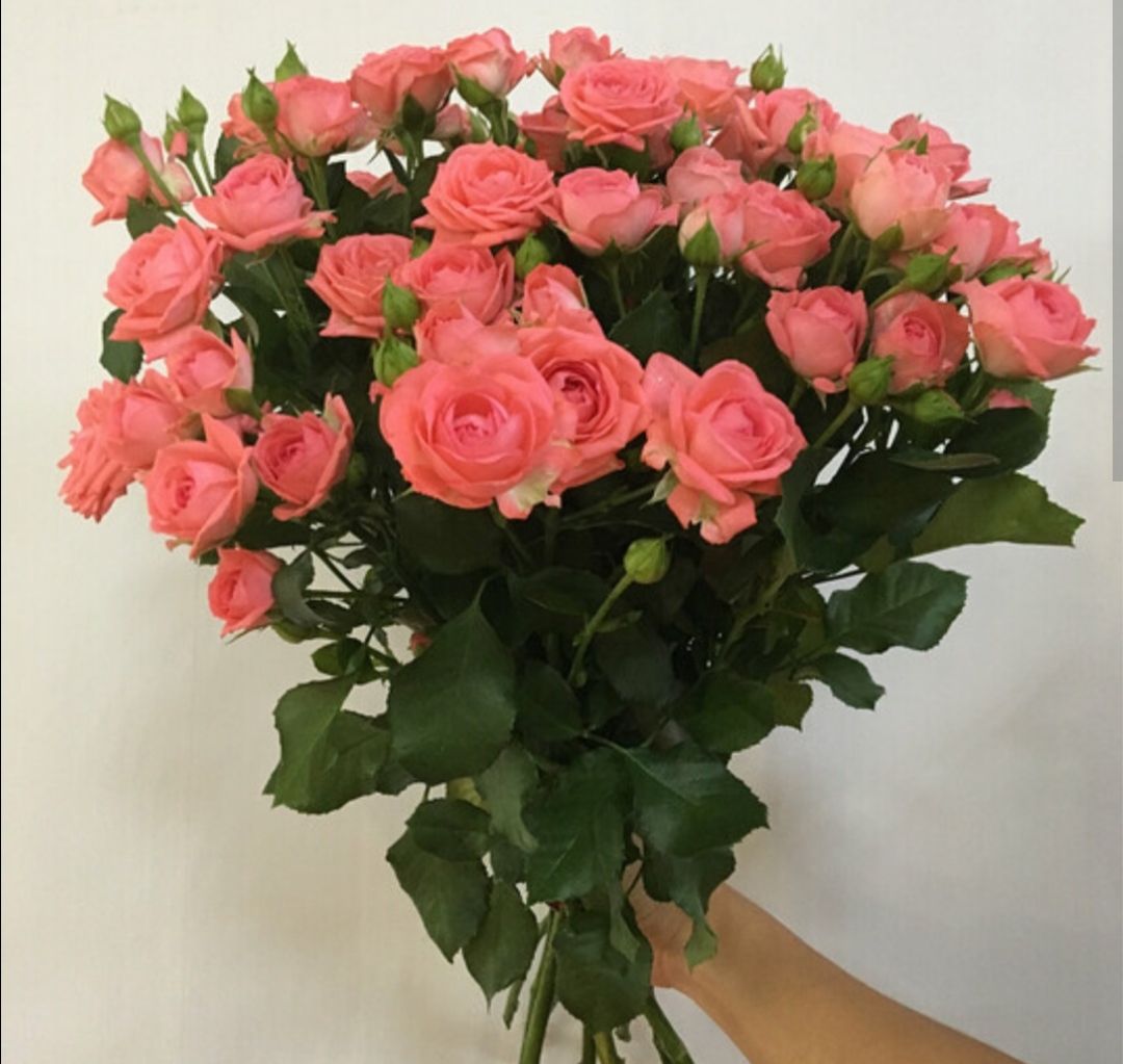 JUM FLOWER Роза, цвет коралловый,  7 шт