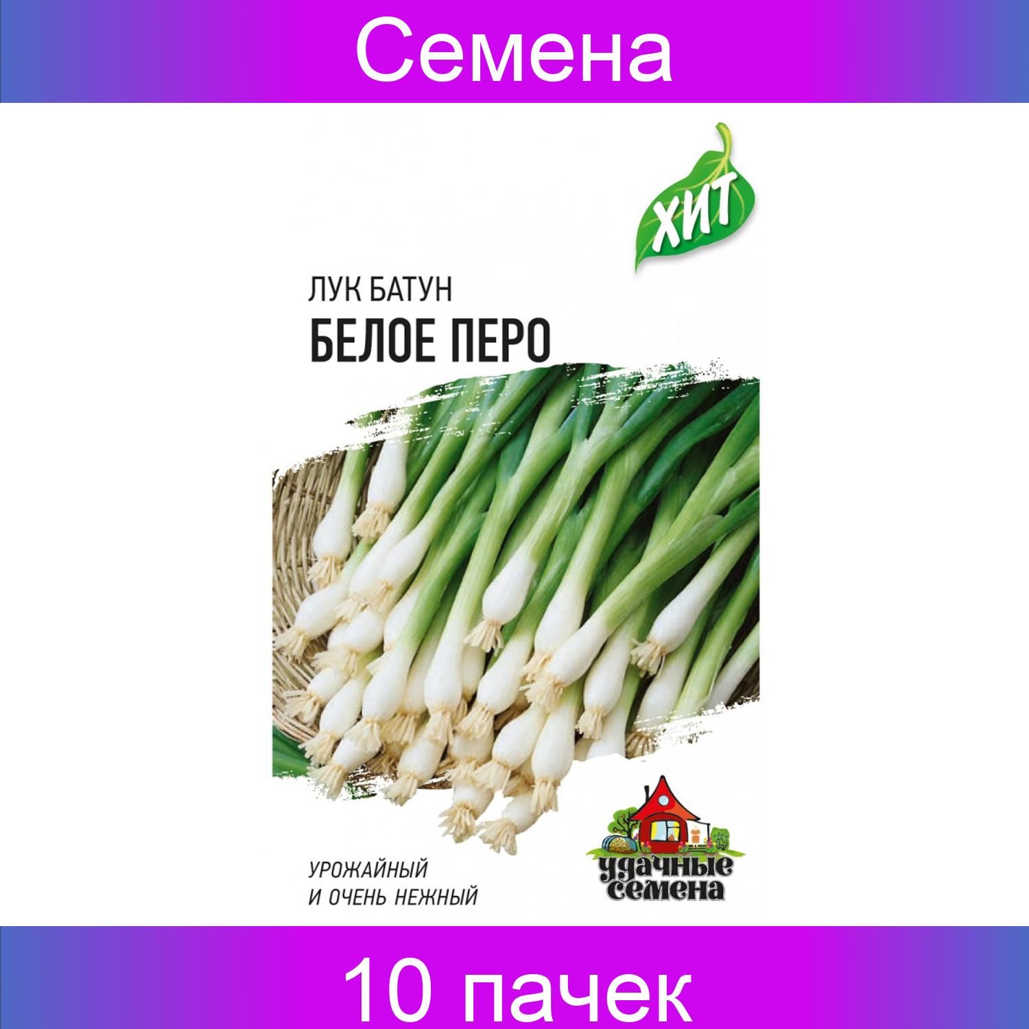 семена лука на перо