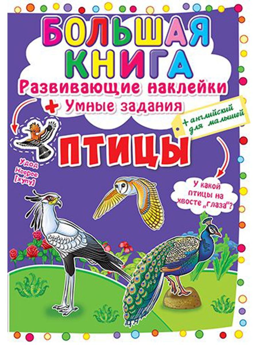 Большая книга птиц. Птицы. Книжка с наклейками. Птицы. Наклейки с заданиями. Книги с наклейками птицы. Книжка с наклейками "умные наклейки".