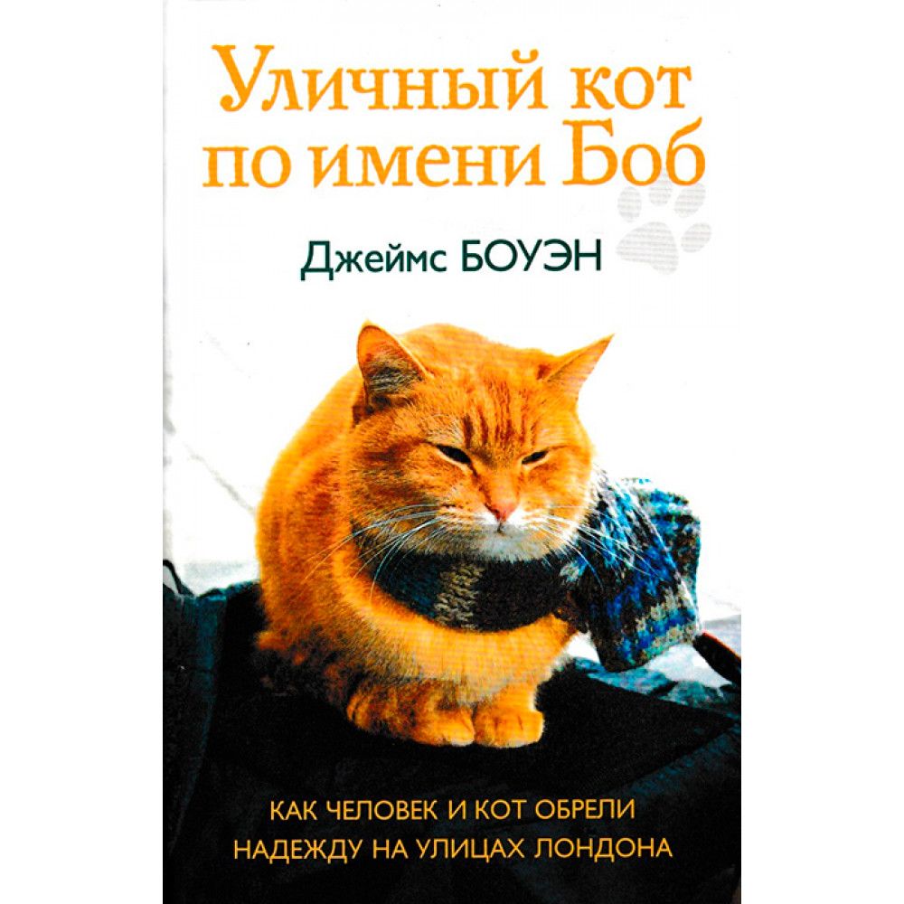 Кот по имени боб