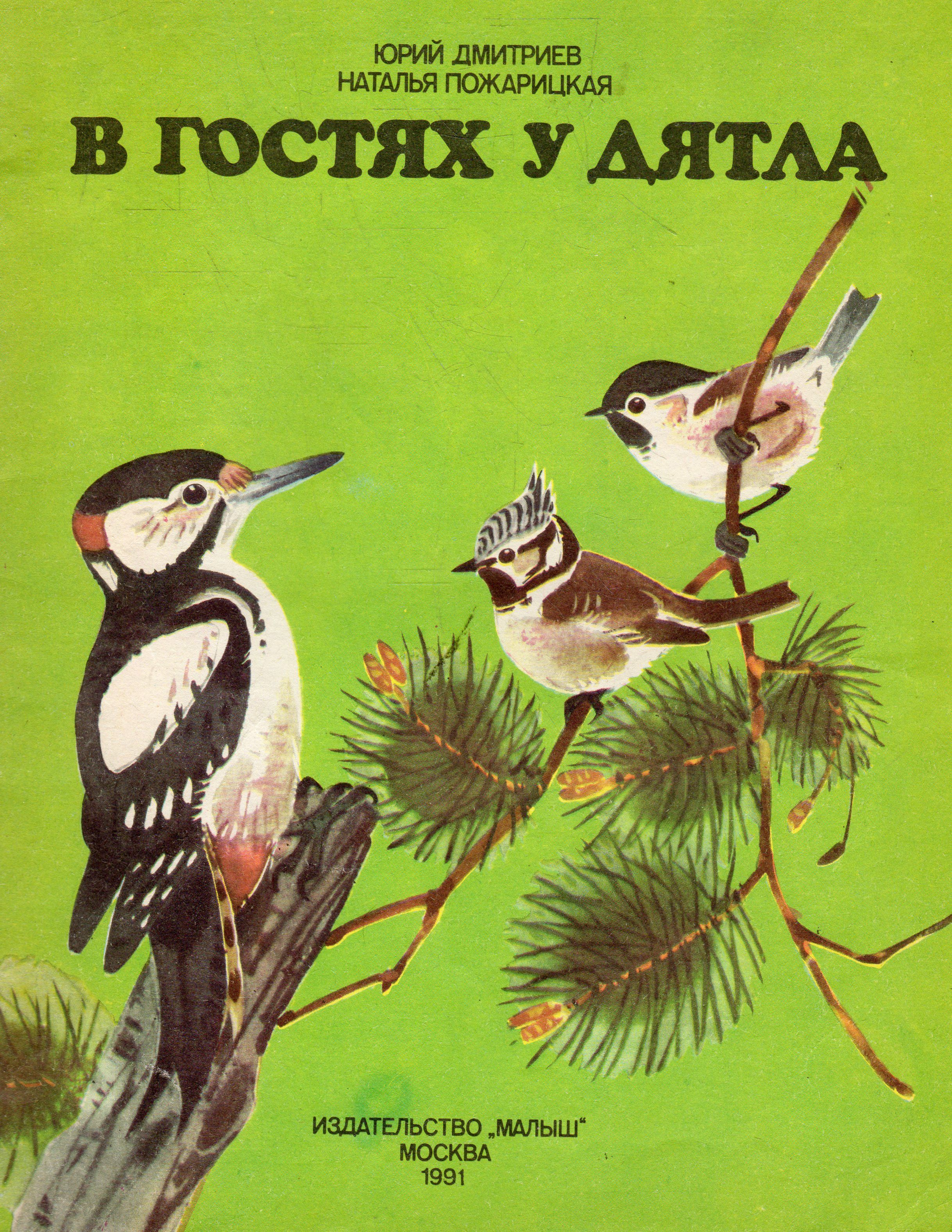 В гостях у дятла | Дмитриев Юрий Дмитриевич - купить с доставкой по  выгодным ценам в интернет-магазине OZON (858069252)