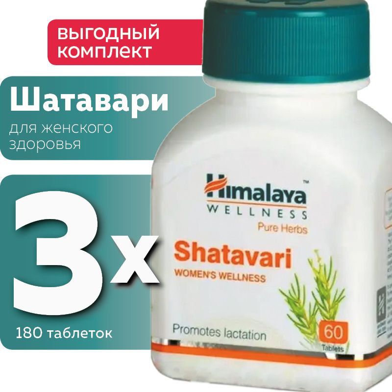 Шатавари отзывы