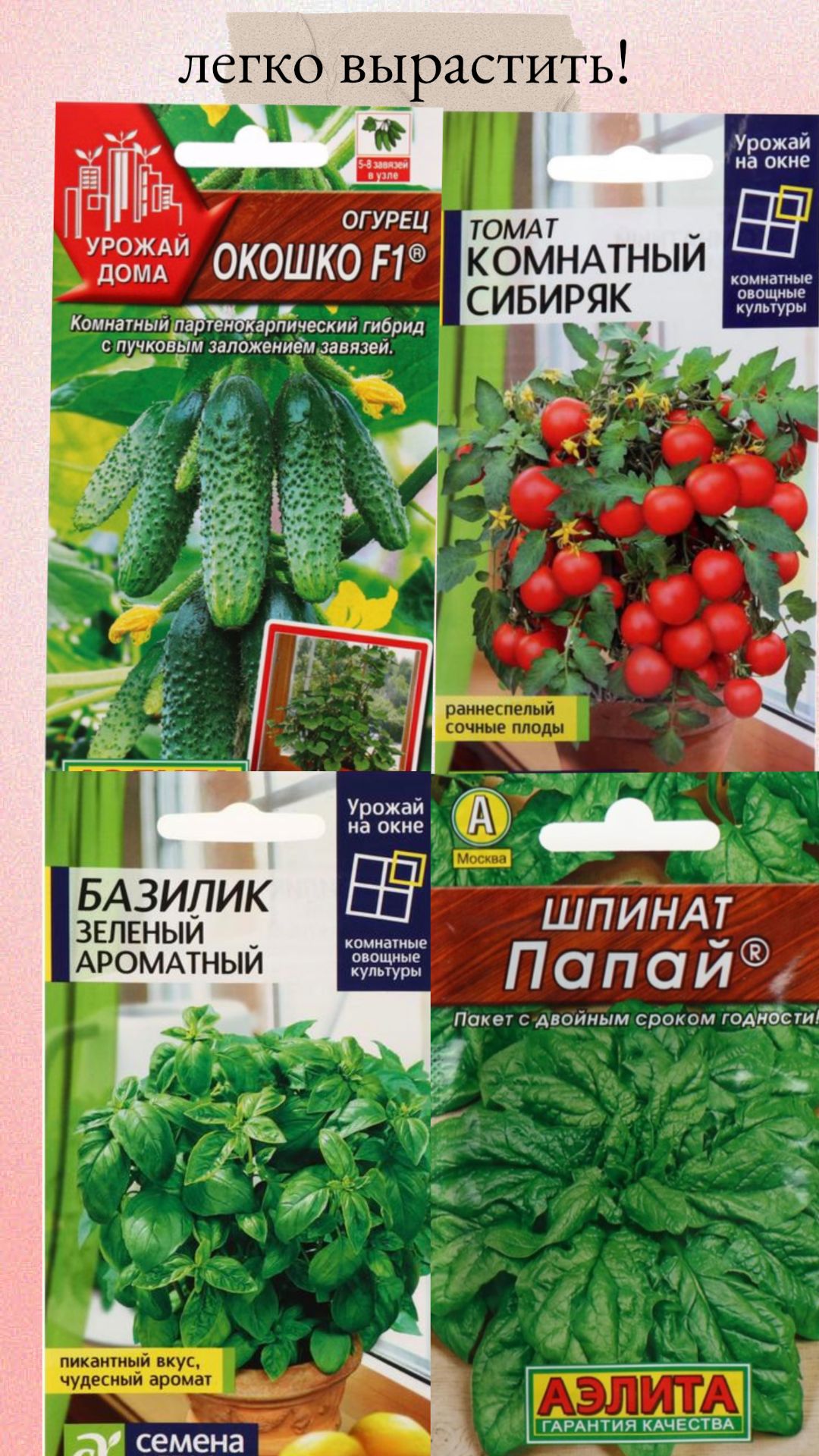 Томат комнатный сибиряк отзывы фото урожайность Семена Томат На окне "Комнатный сибиряк", 0.05 г ✳ купить по цене 6 ₽/шт. в Ирку