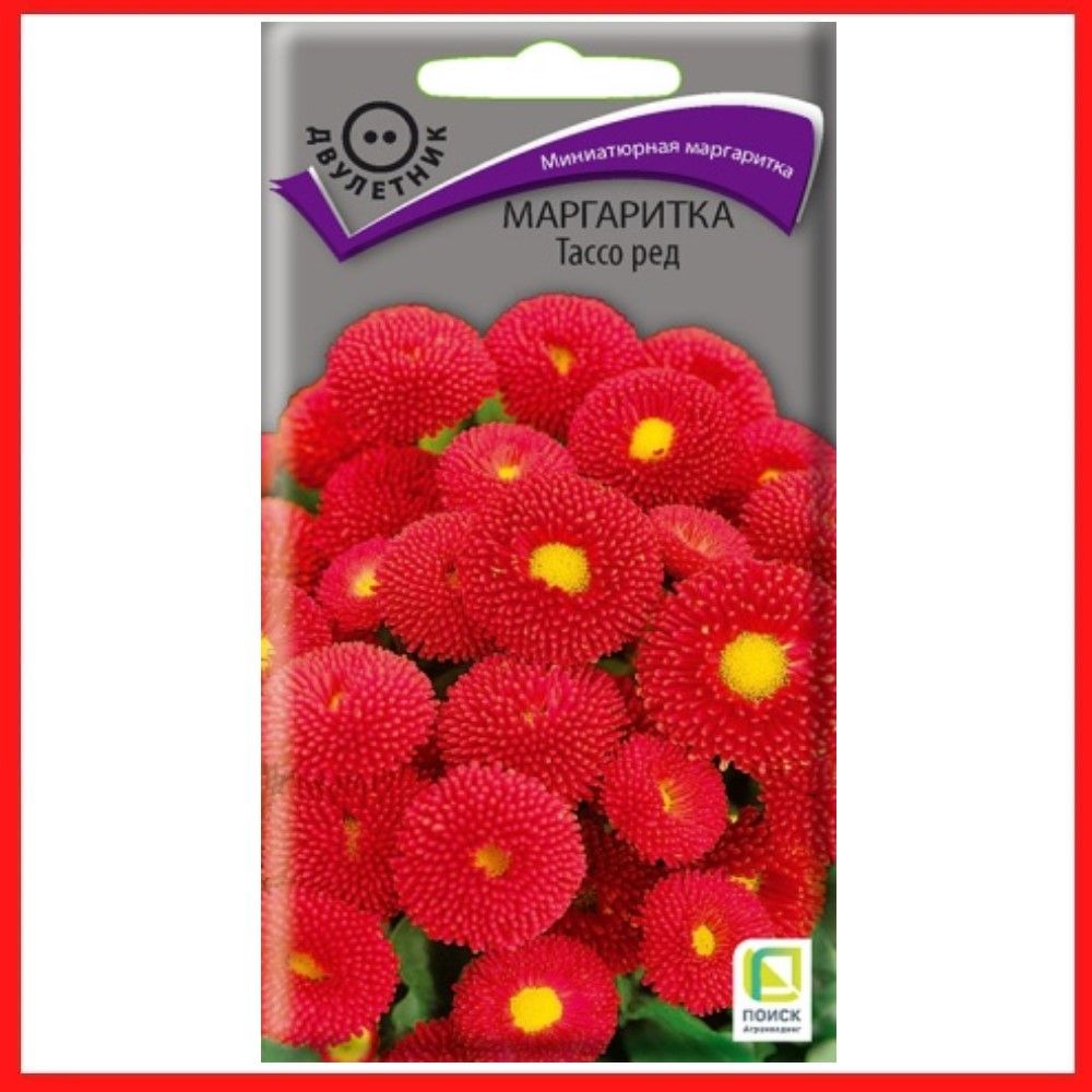 Маргаритки Семена Купить