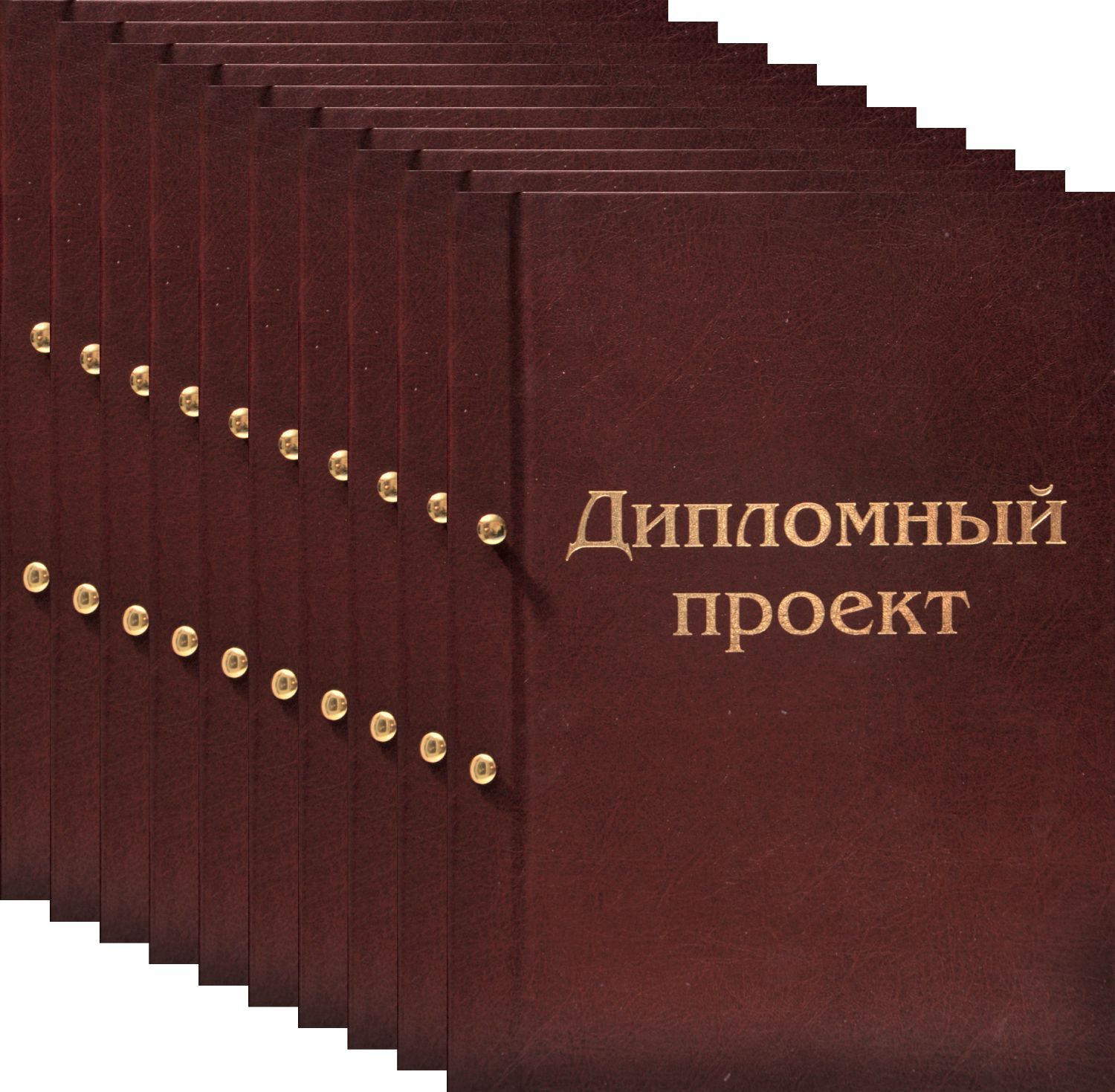 Папка для Дипломного проекта с конвертом для CD. Переплет на винты. 10шт -  купить с доставкой по выгодным ценам в интернет-магазине OZON (889750725)