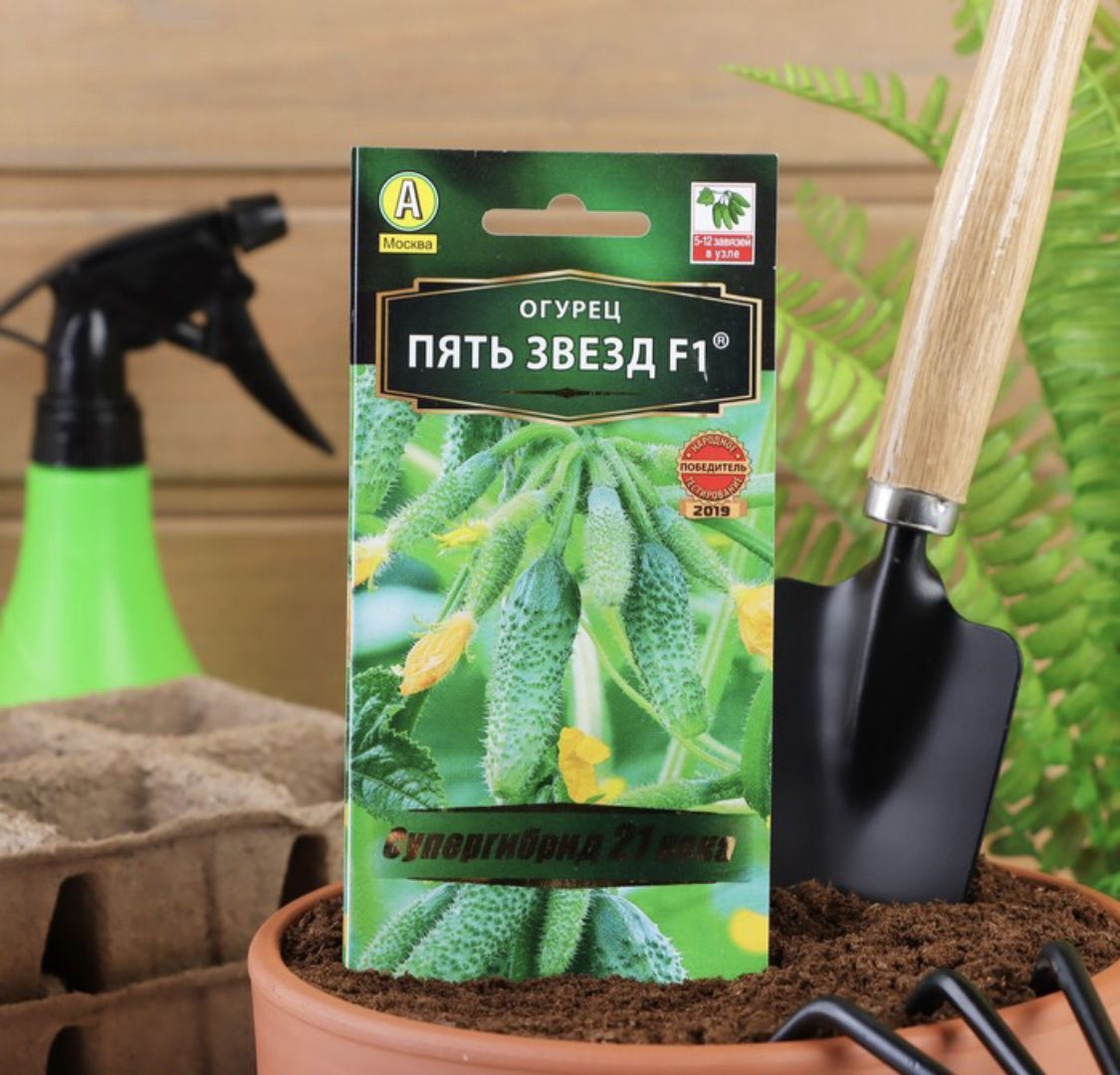 огурец пять звезд f1 отзывы. семена огурец пять звезд f1. огурец пять звезд f1 отзывы.