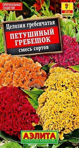 Петушиный гребешок-цветок с круглой рамкой | Бесплатно векторы