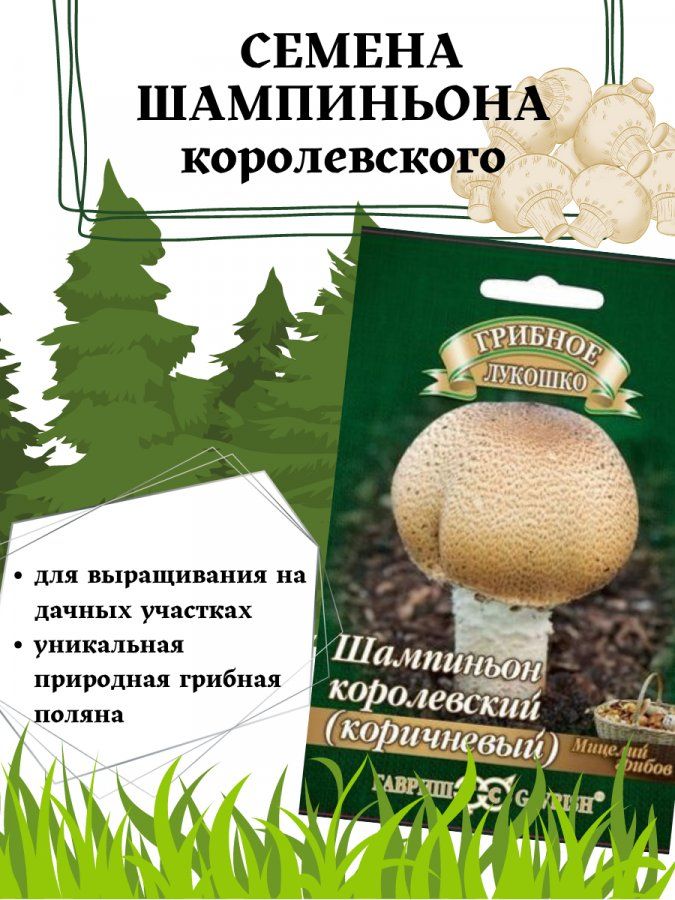 Мицелий грибов : Шампиньон королевский коричневый на зерновом субстрате Гавриш