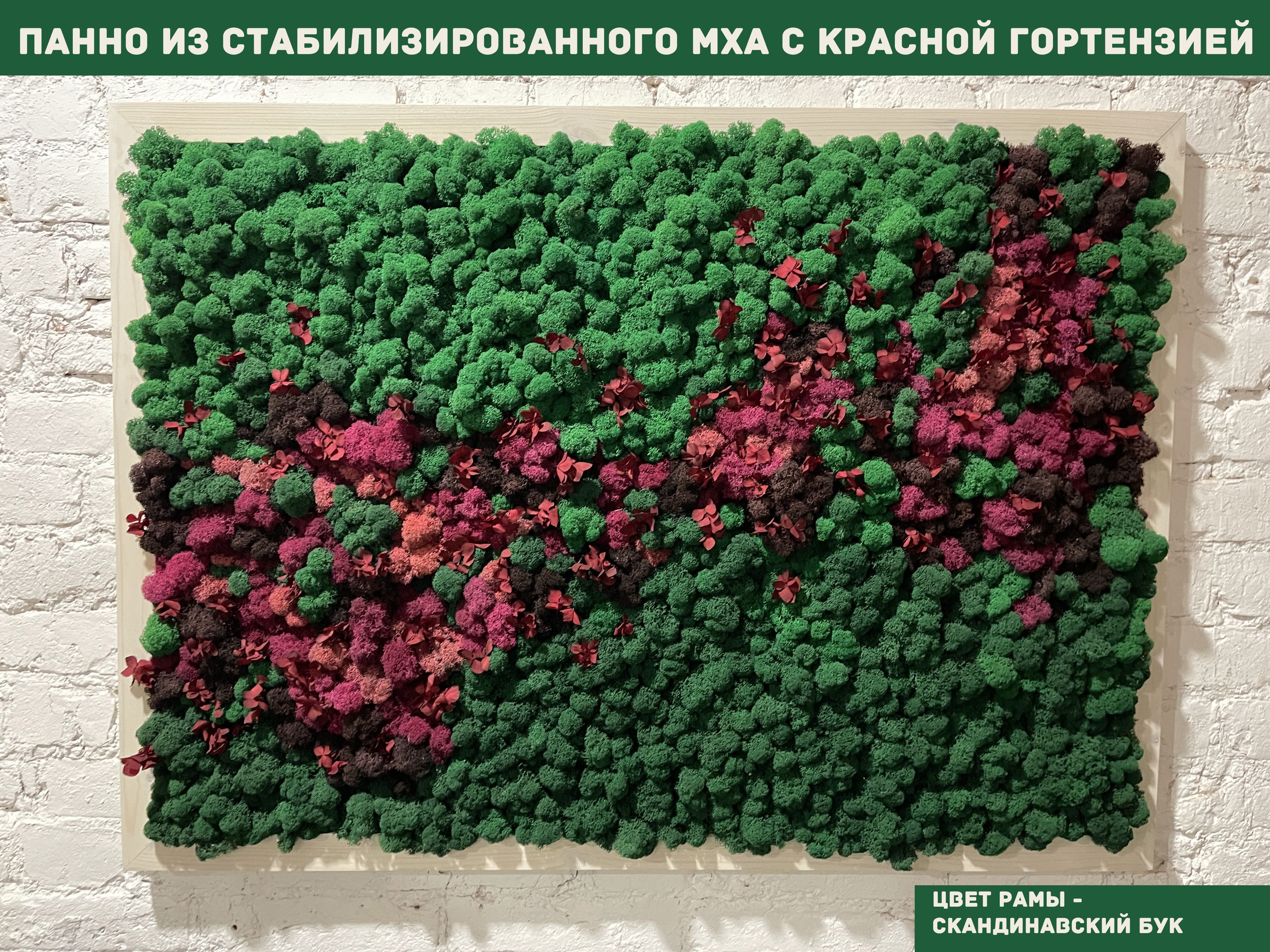 Стабилизированный ответ. Стабилизированный ответ