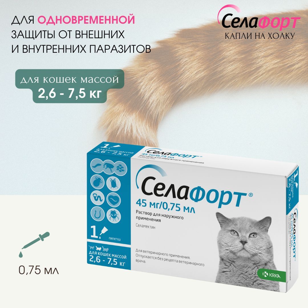 селафорт капли на холку для кошек. селафорт капли на холку для кошек. капли на холку селафорт. 5 кг. селафорт для котят до 2.